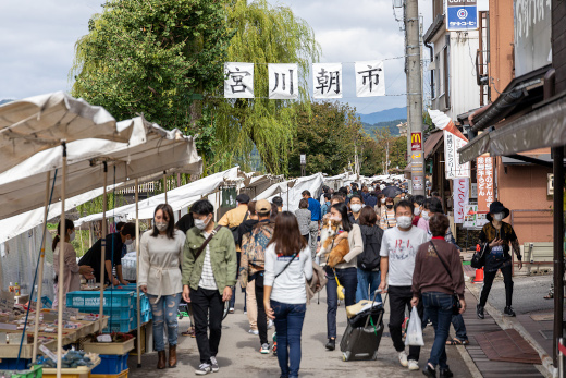 從名古屋/高山出發，白川鄉和高山私人一日遊