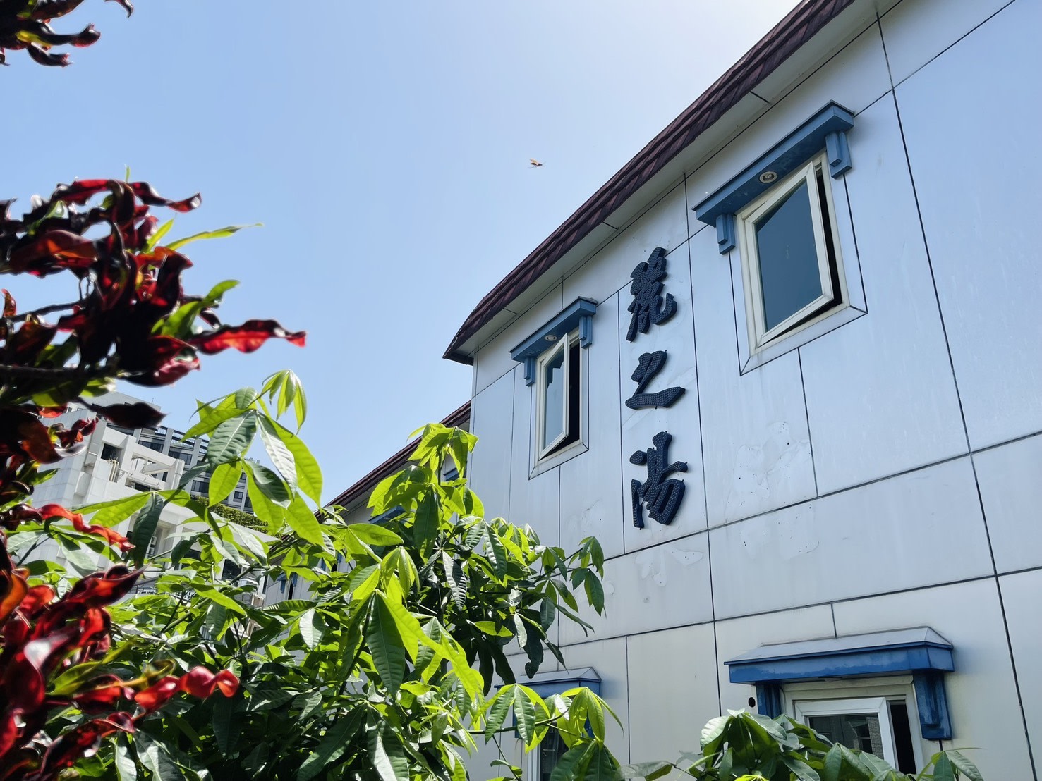 Gorgeous Hot Spring Resort in Taipei