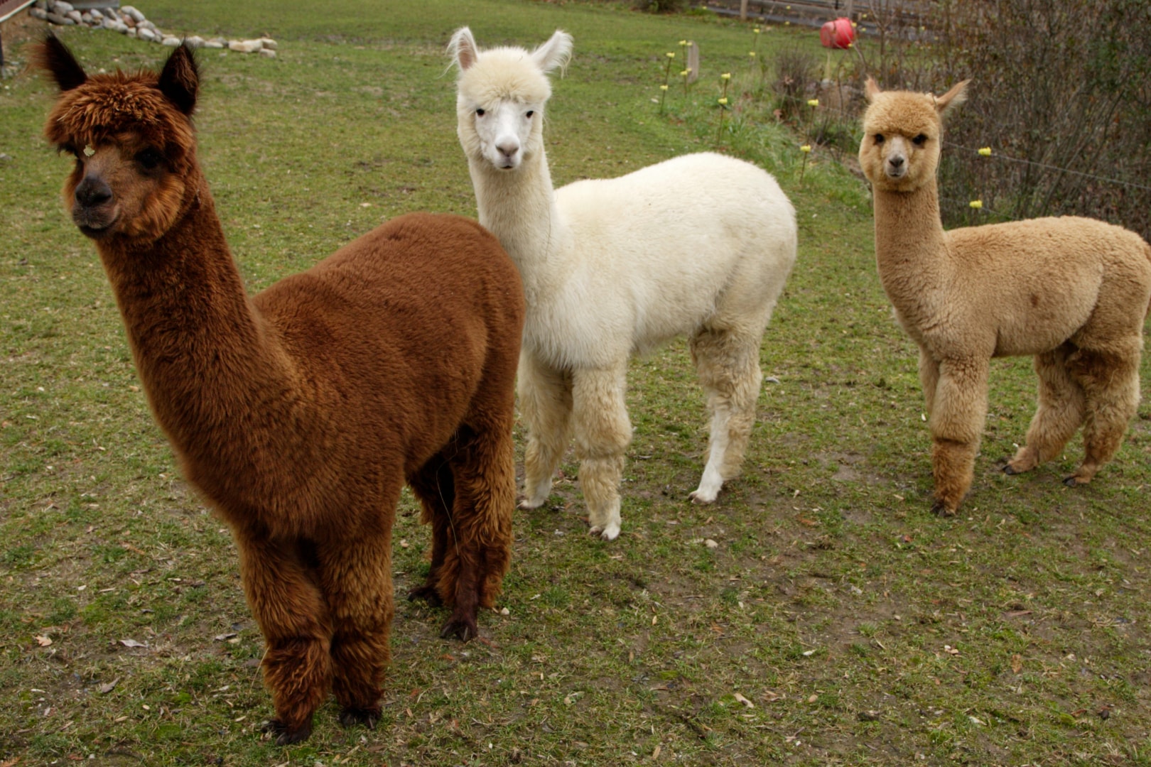 Green World Ecological Farm Charter Day Tour in Hsinchu