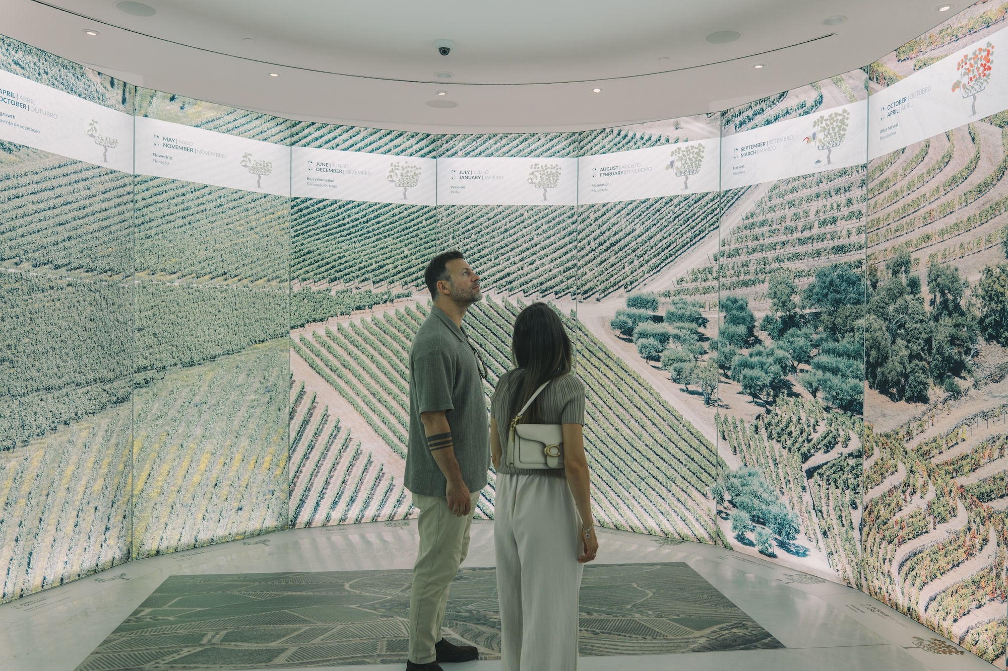 WOW 72-Hour Pass in Porto