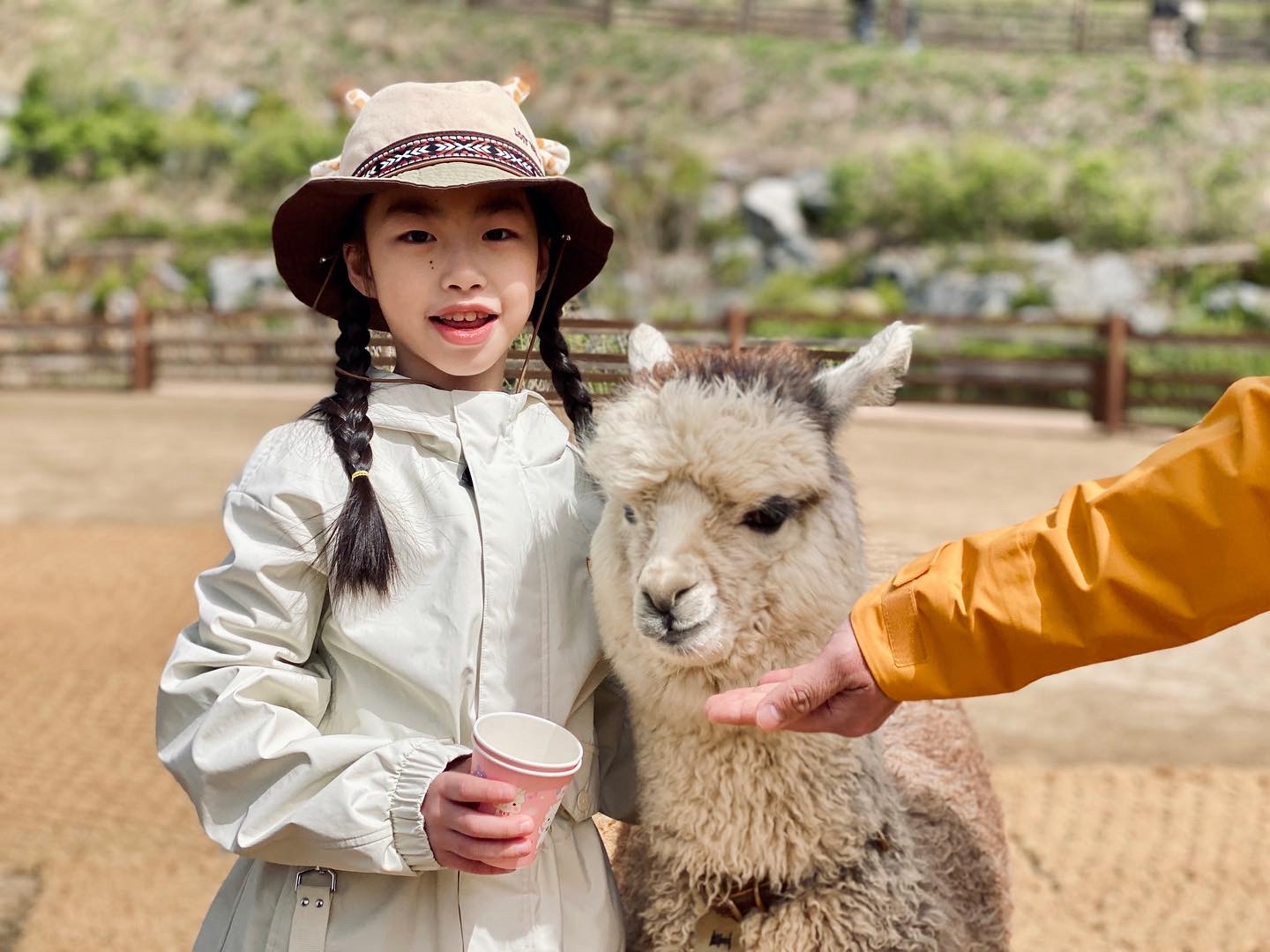 在白雪點綴的林蔭小徑漫步,隨時隨地捕捉迷人美照。秋季就到草泥馬樂園🍁 在白雪點綴的林蔭小徑漫步,隨時隨地捕捉迷人美照。秋季就到草泥馬樂園🍁