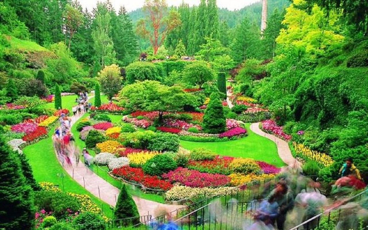 布查花園繁花盛開，景觀步道蜿蜒，處處皆是寧靜的園林美景。