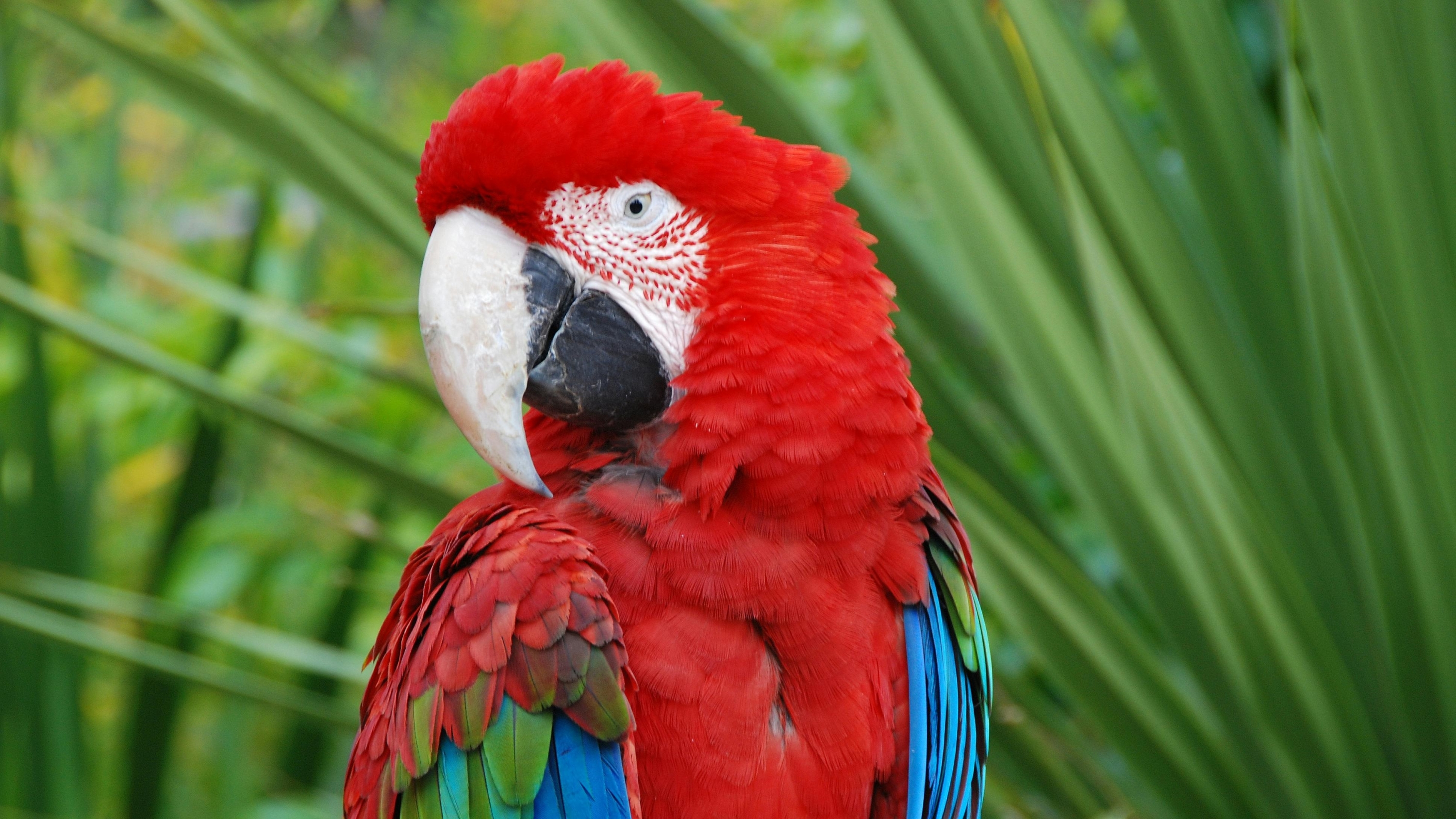 里斯本動物園 (Lisbon Zoo) 門票