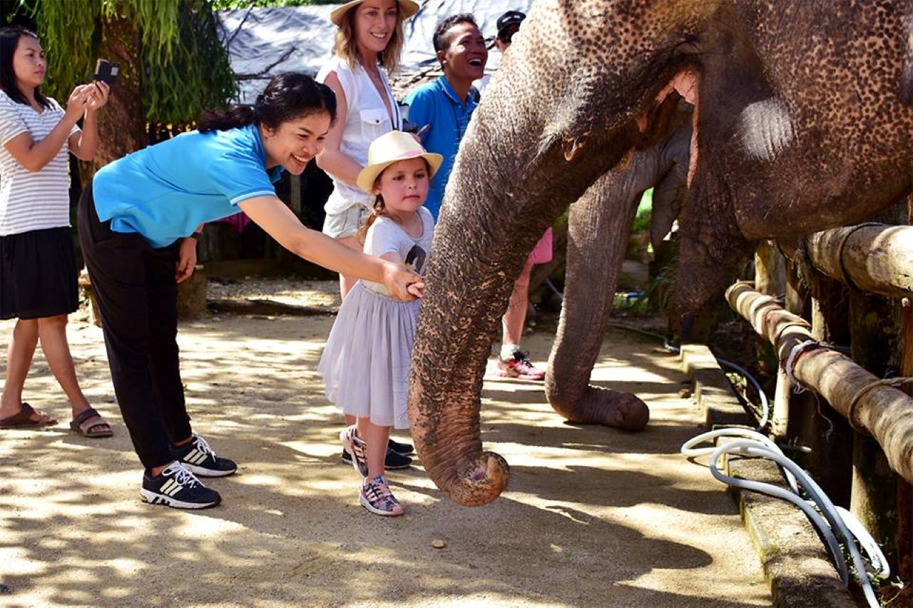 Khaolak Elephant Interaction: Feeding - Bathing - Mud Spa - Walking