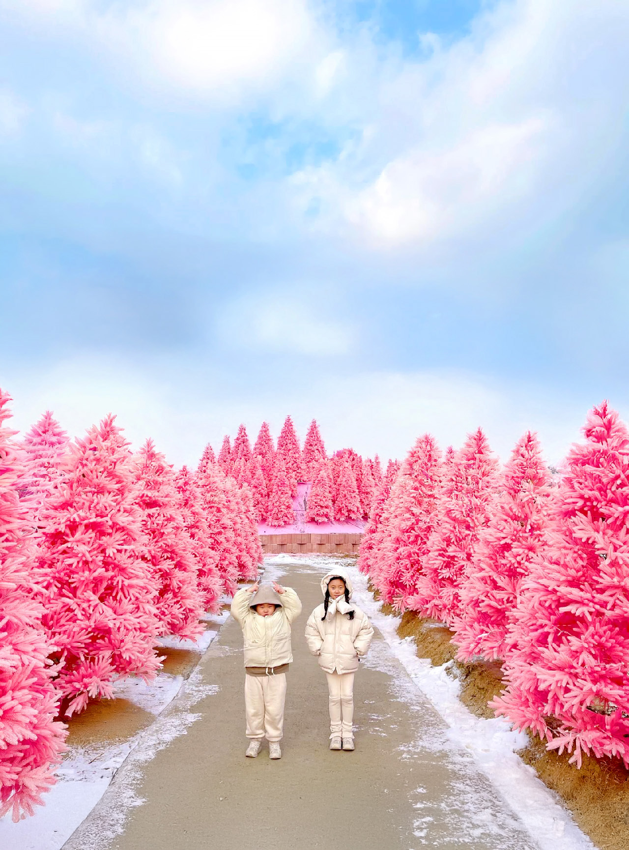 亮點是香草島的粉色森林，為這個季節裝飾得非常漂亮。