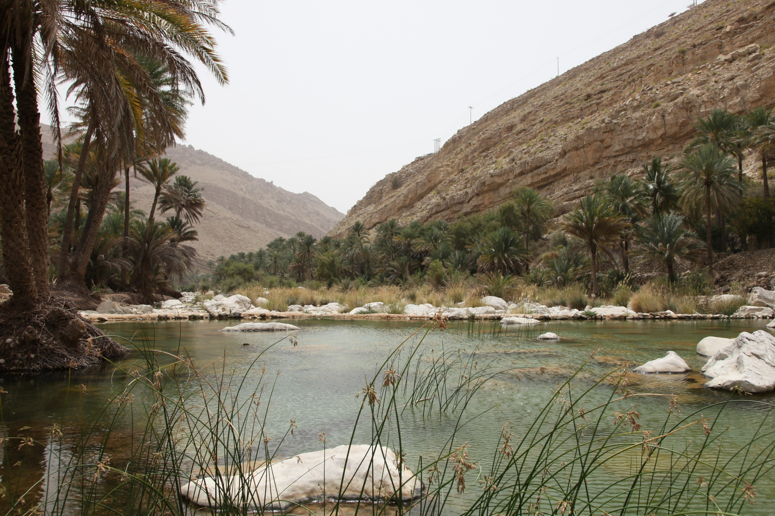 Battinah and Wadi Abyad Jeep Tour from Muscat