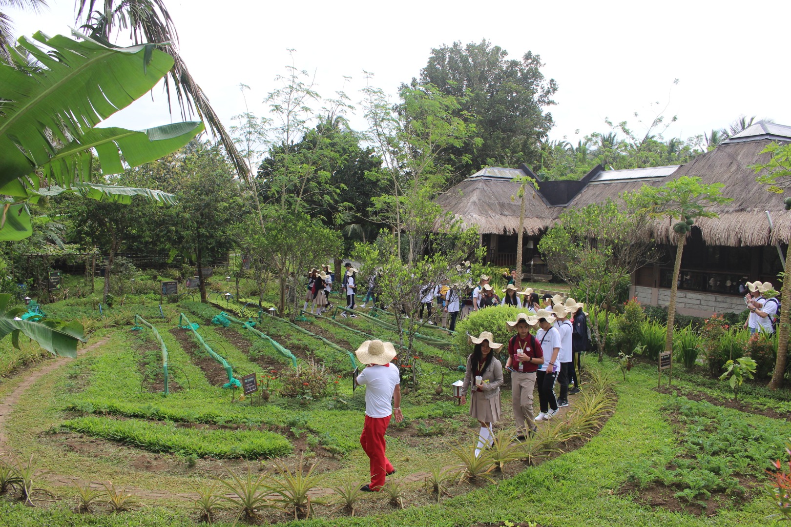 [SALE] Nurture Farmacy Interactive Farm Experience in Tagaytay - Ticket KD