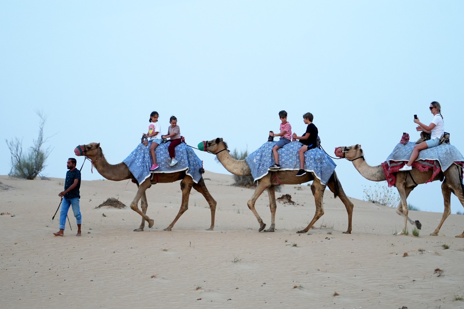 Dubai: Red Dune Desert Safari, Sand Boarding, and Buffet Dinner Tour