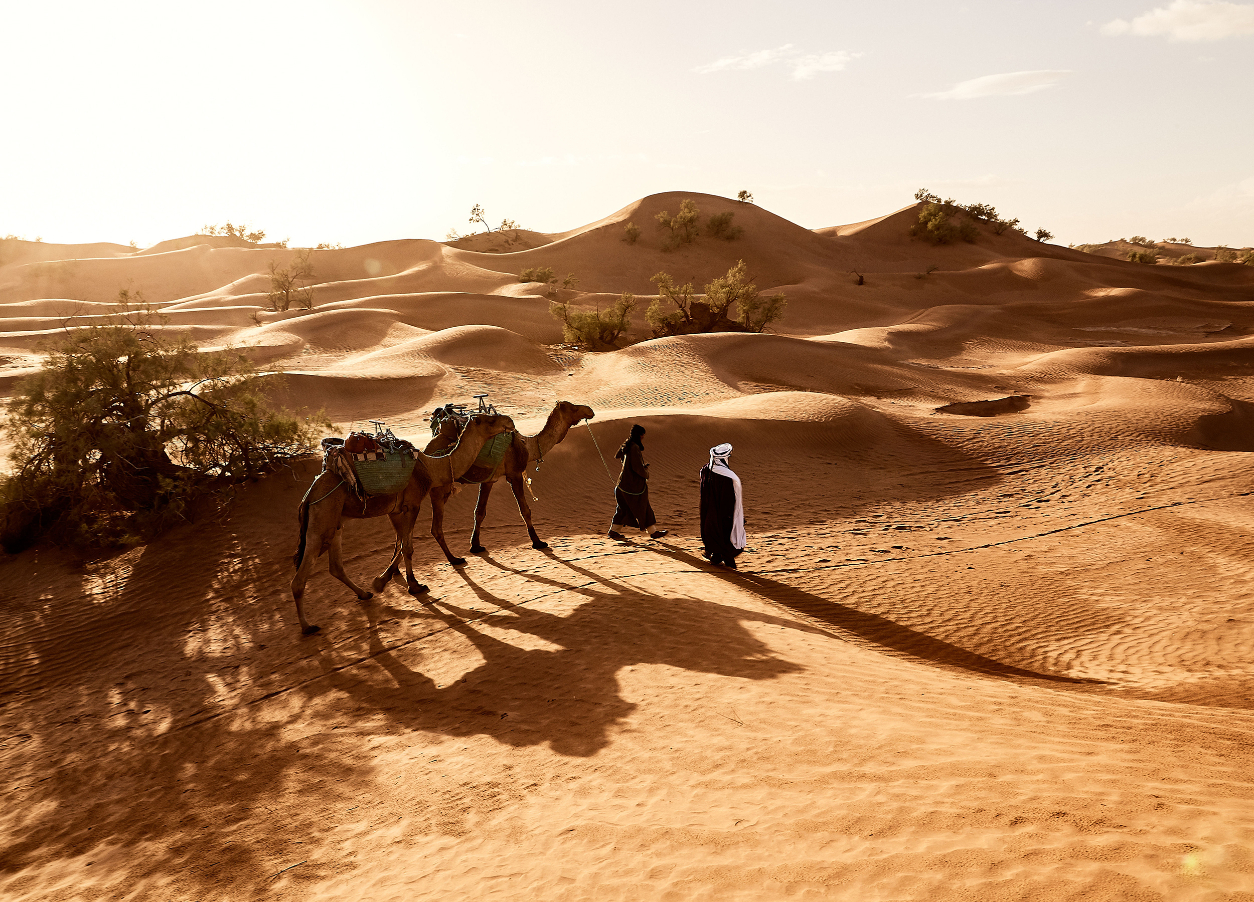 4-Days Desert Merzouga Tour To Marrakech From Fes