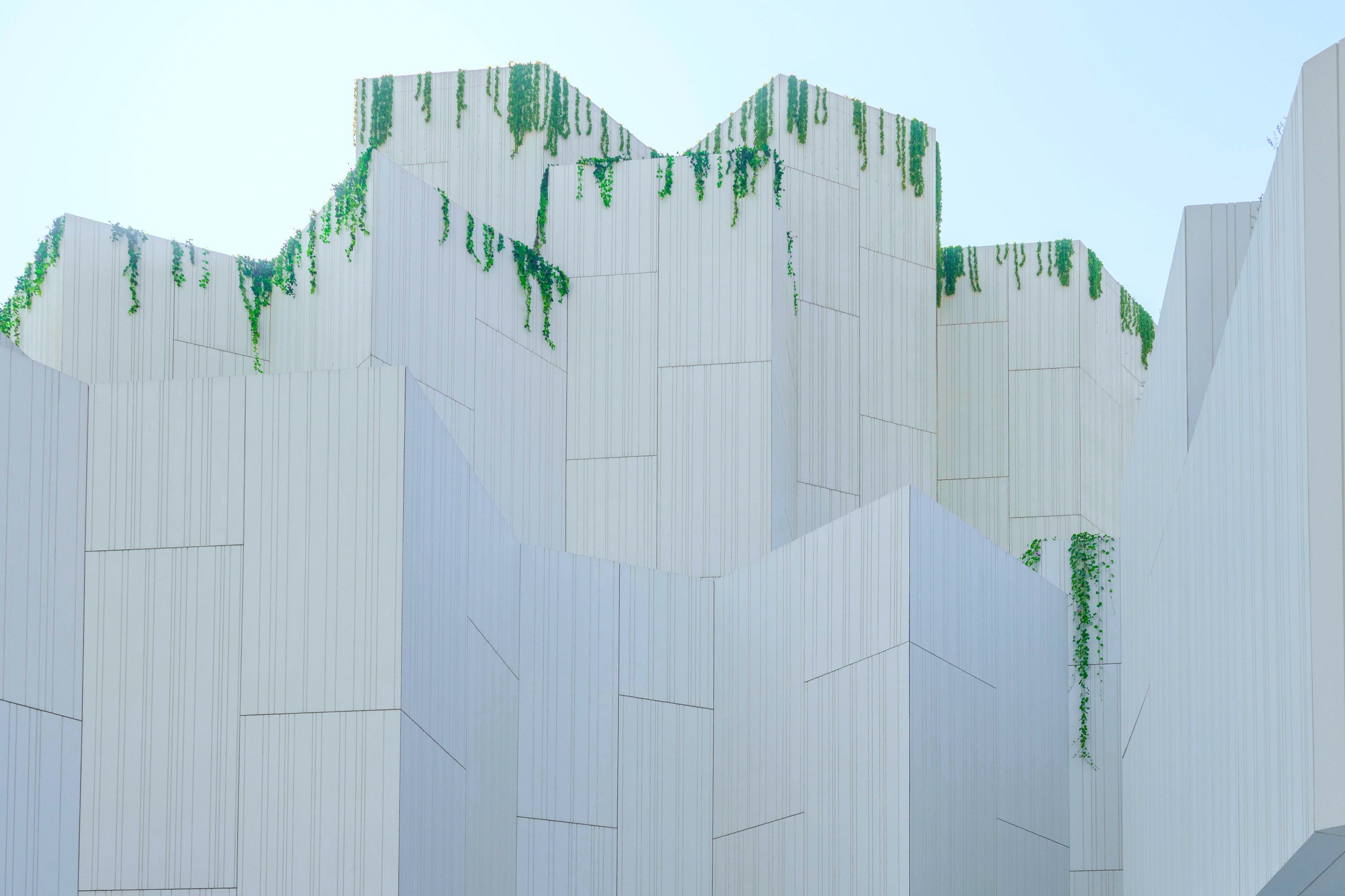 White façades and native greenery express Mecanoo’s architectural vision for the Natural History Museum Abu Dhabi, blending innovative form with a sense of place.