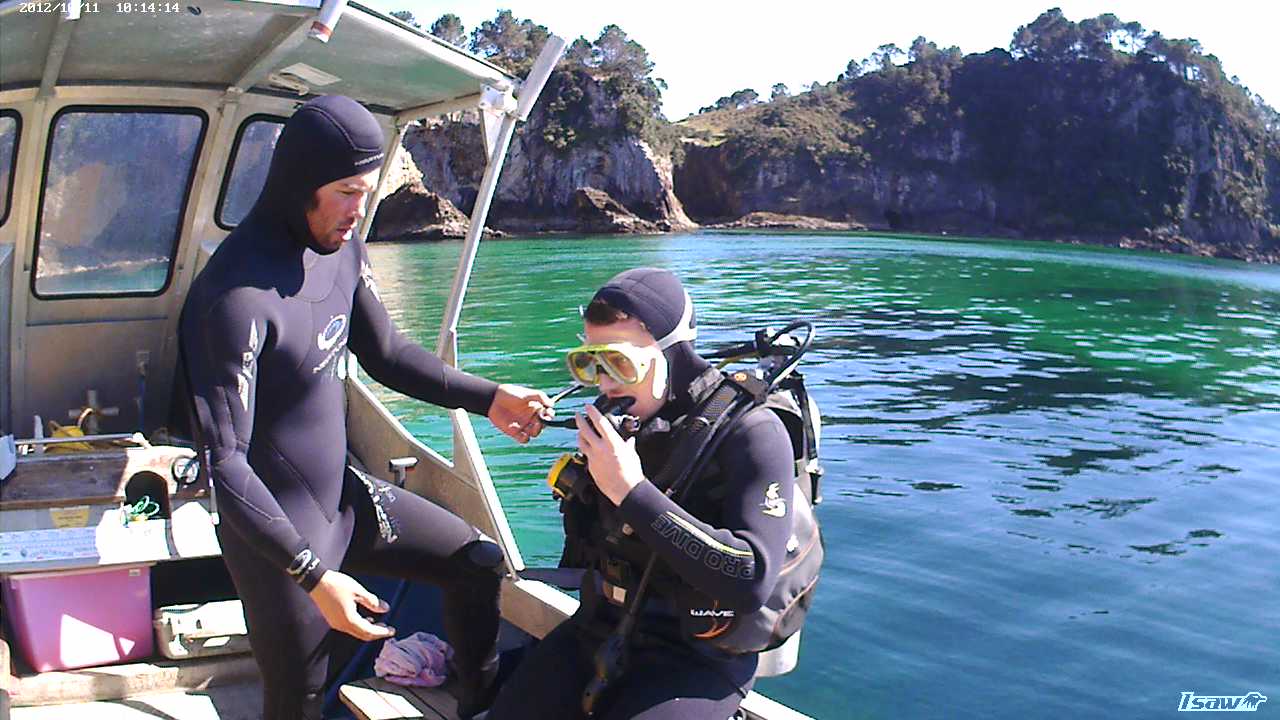 PADIディスカバースキューバダイニング（ハヘイ / PADI Dive Center提供）