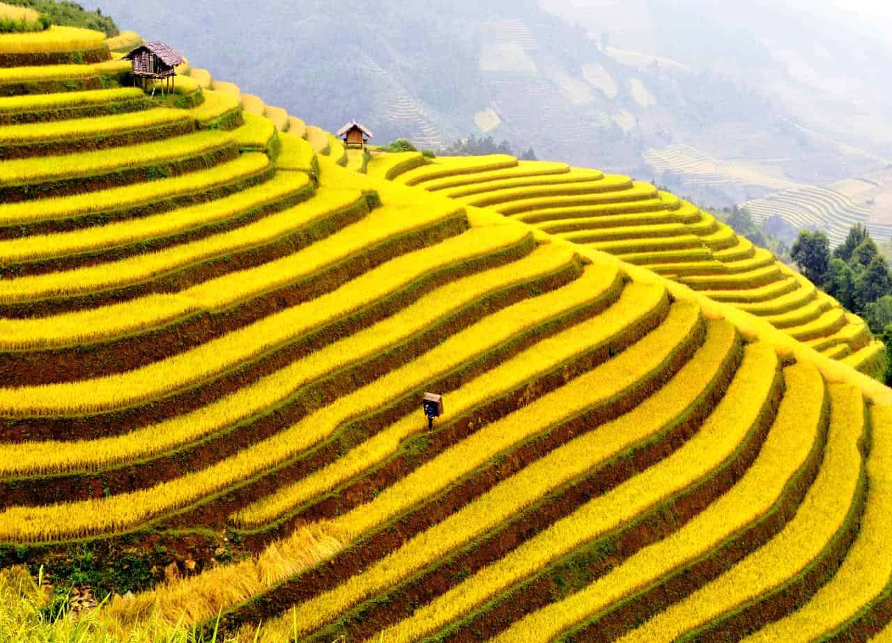 Sapa Instagram Tour: Unmissable Beauty by Motorbike or Car