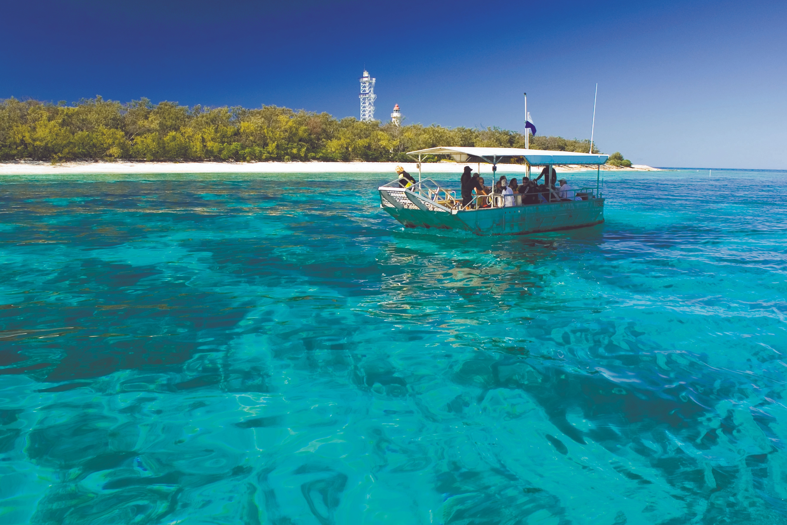 Lady Elliot Island Day Tour from Bundaberg