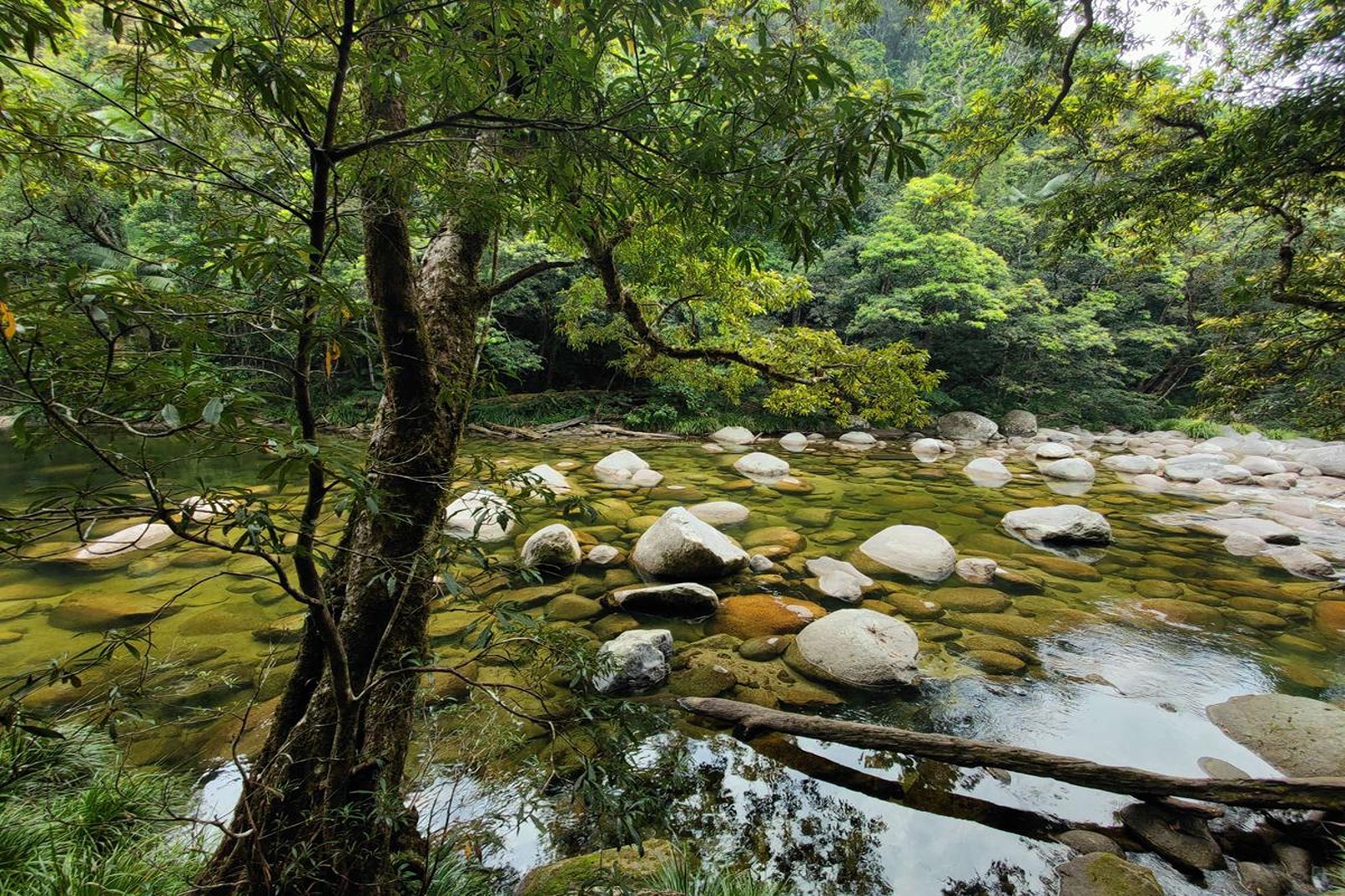 苦難角 & 丹翠熱帶雨林 & 莫斯曼峽谷一日遊（凱恩斯出發）