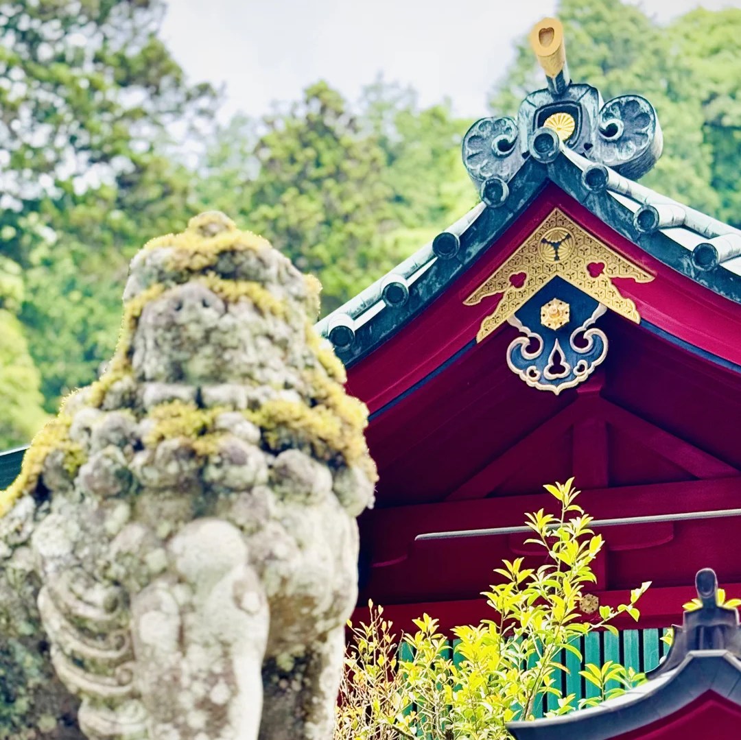 【箱根熱海花火大會】一日遊｜蘆之湖遊船・箱根神社・熱海煙花盛宴｜東京出發