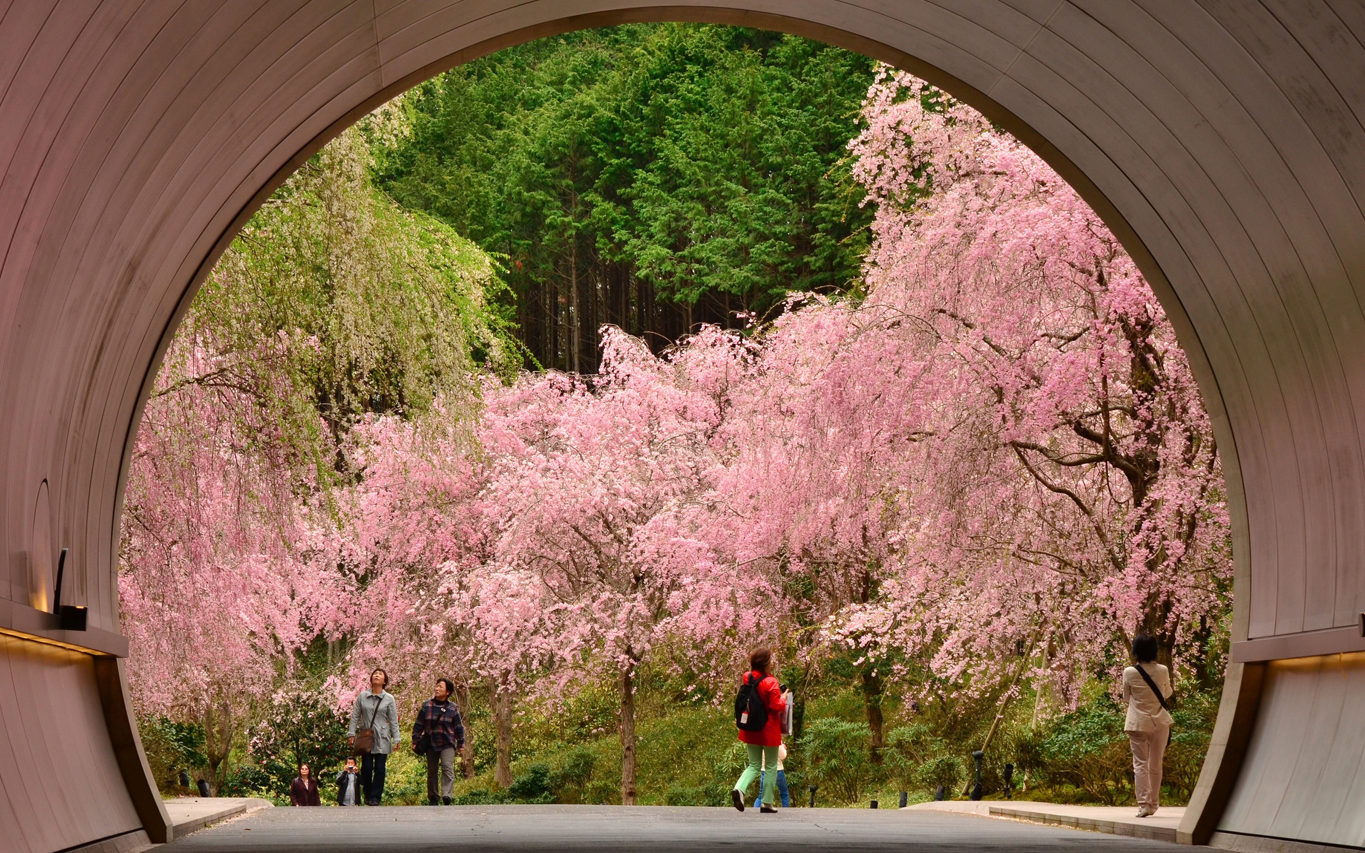 MIHO MUSEUM & Hikone Castle Day Tour from Nagoya