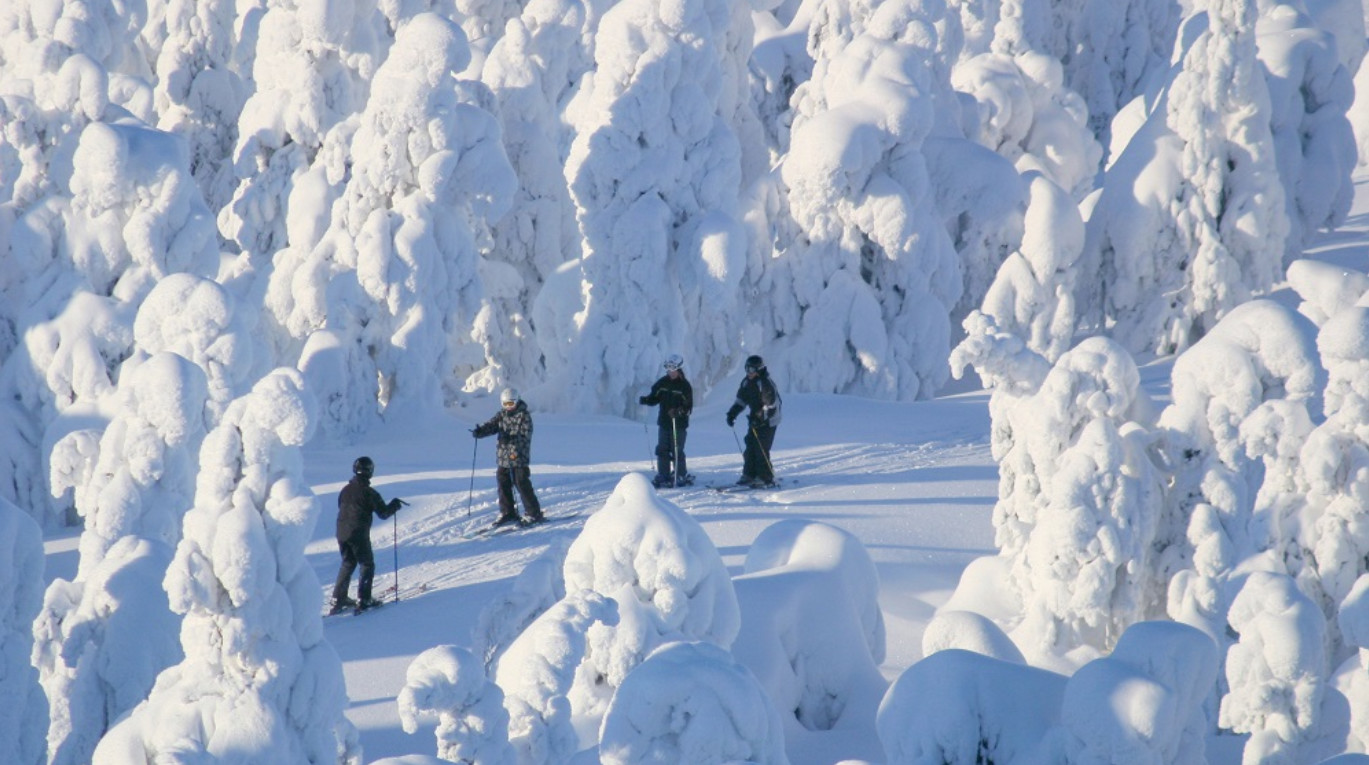 羅瓦涅米拉普蘭越野滑雪體驗