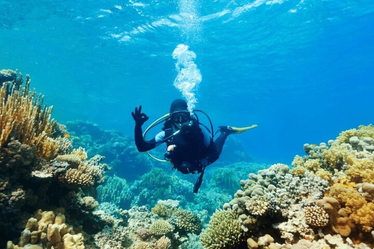 博德魯姆水肺潛水之旅（含午餐和往返接送）