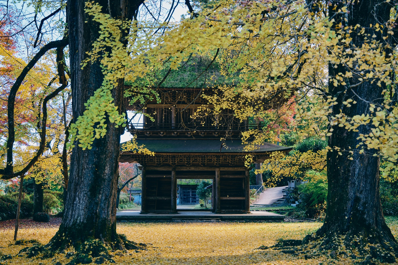 東京：騎行和溪降探險