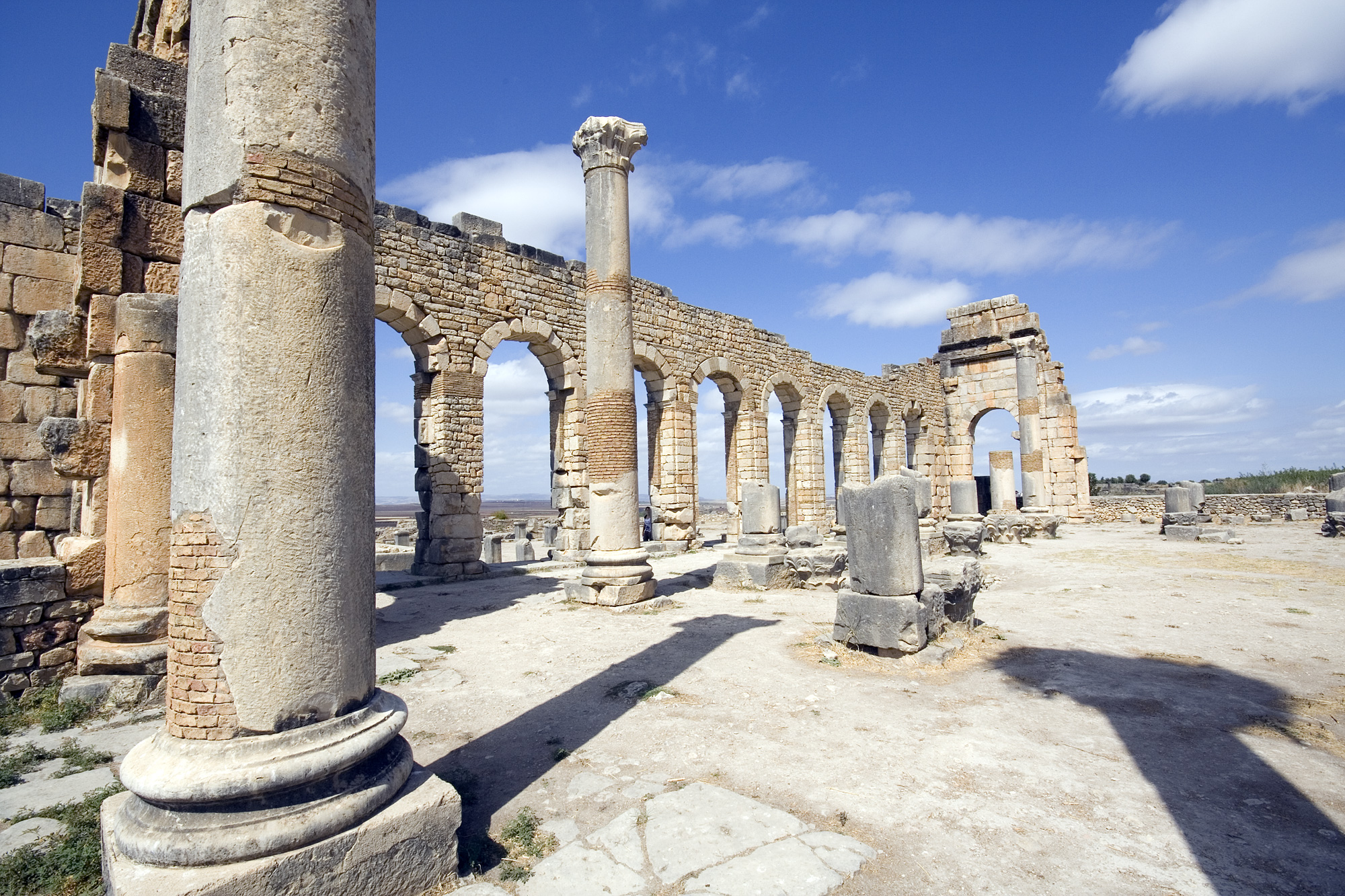 Meknes & Volubilis Full-Day Private Tour