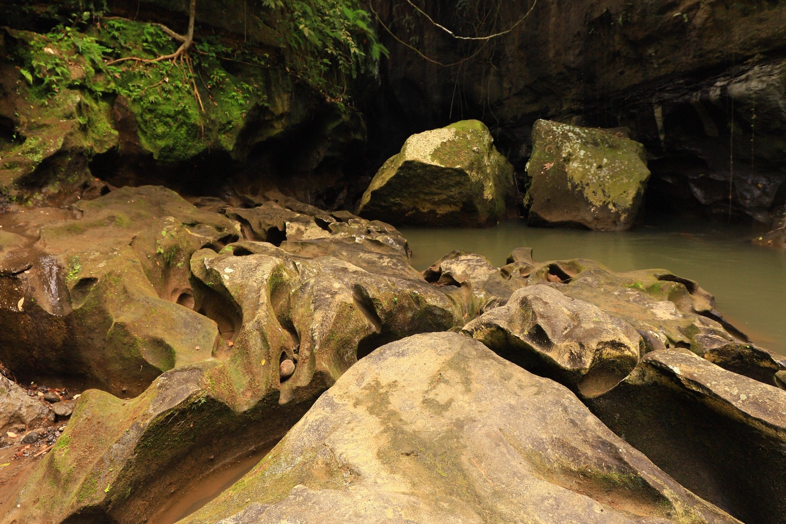 巴厘島Beji Guwang隱秘峽谷徒步體驗