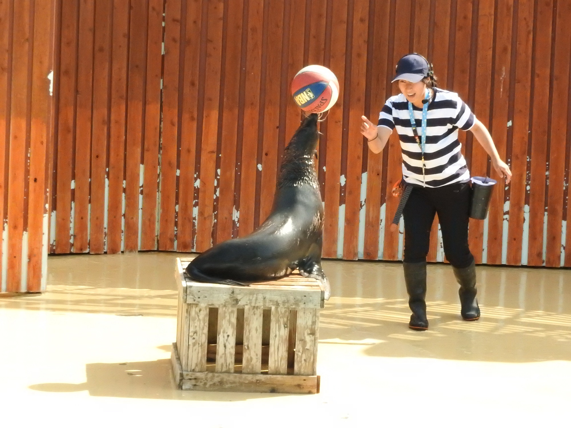 東武動物公園門票