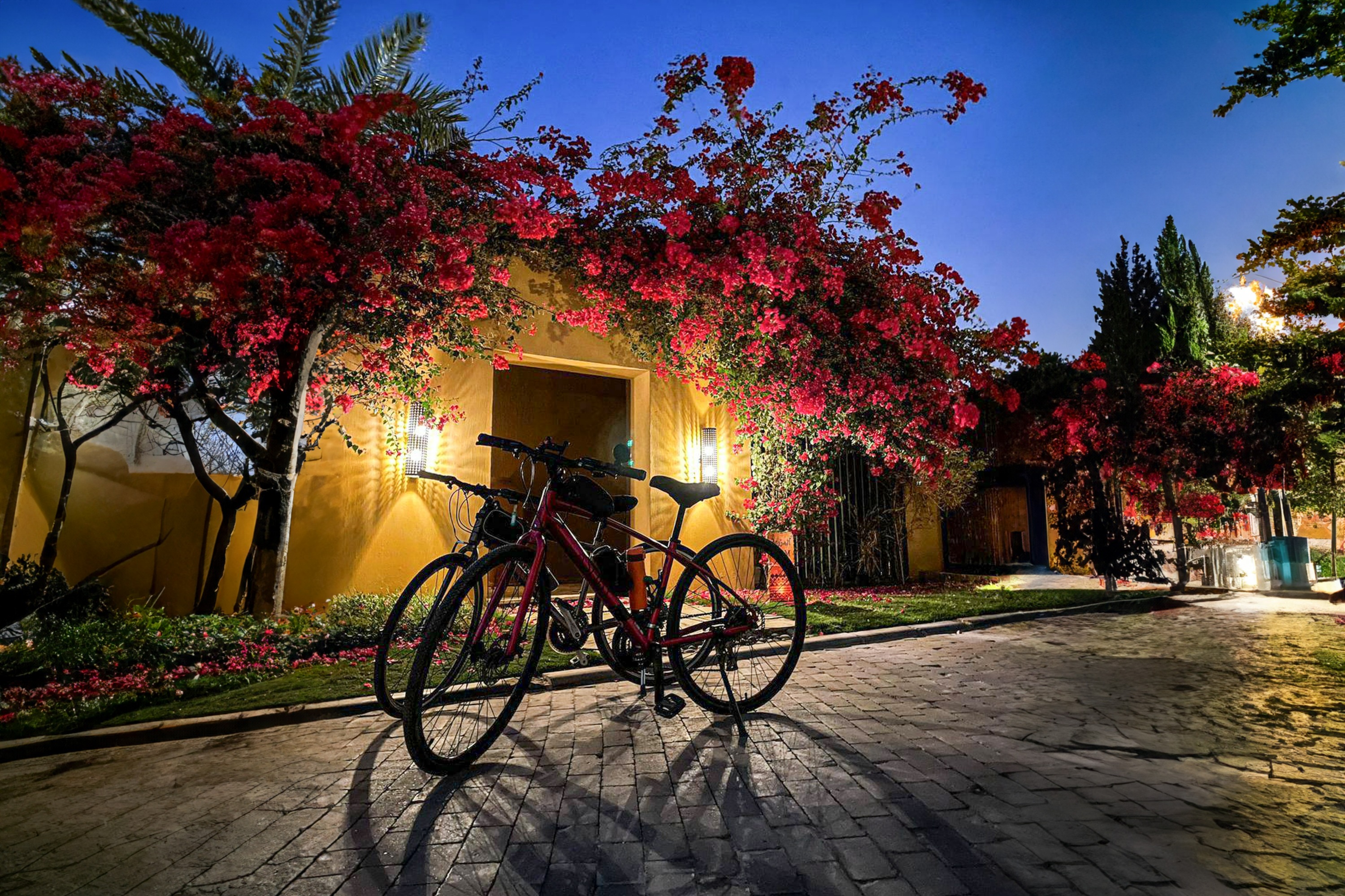 Wadi Hanifa Cycling Tour 