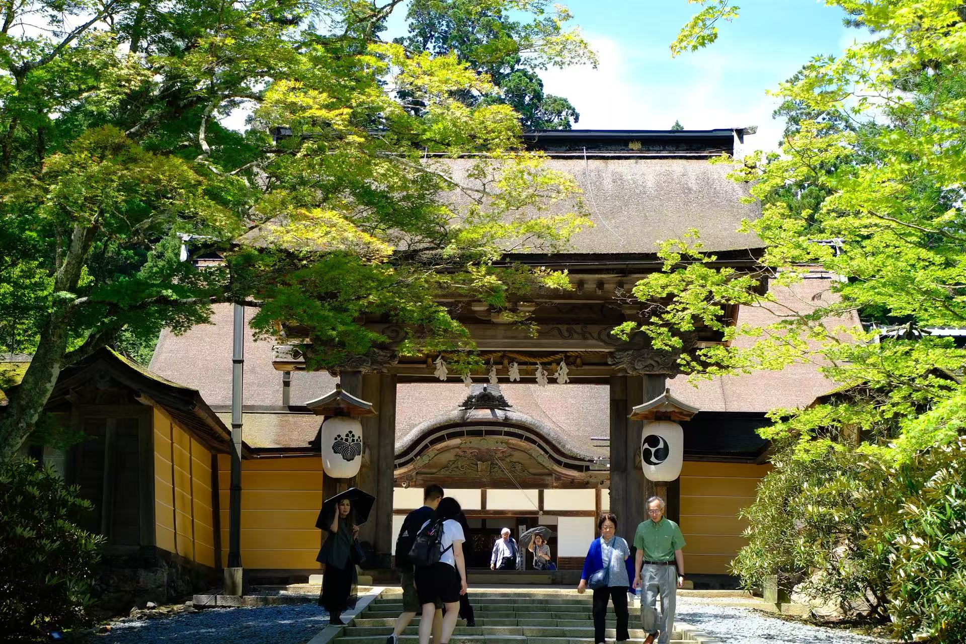 "One-day tour of Kansai's hidden secrets" Choose one of Awaji Island, Koyasan, or Kumano Kodo, depart from Shinsaibashi, Osaka