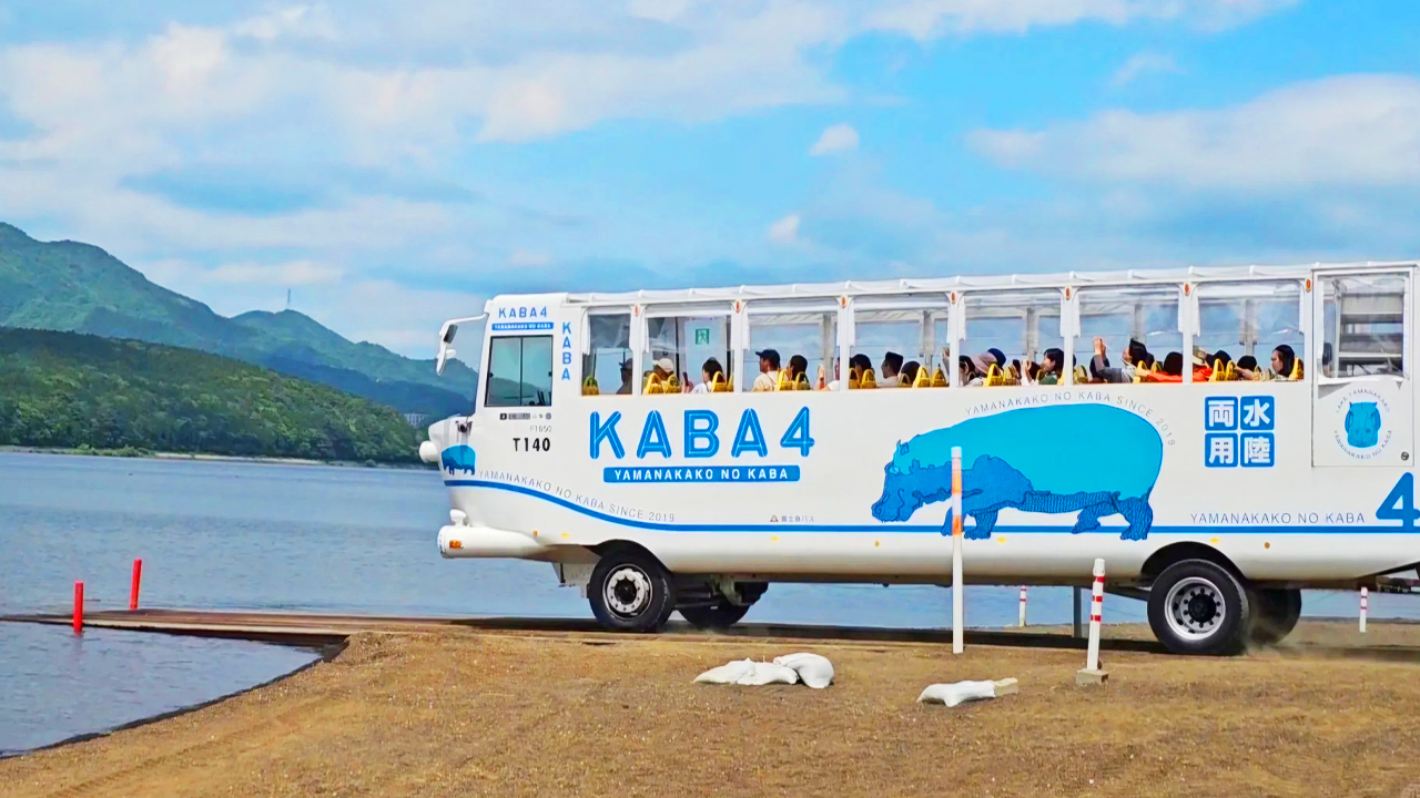 秋冬時節搭乘 KABA 水陸兩棲巴士,既能在陸地欣賞山林漸變的絢爛秋景,看楓葉從金黃染至火紅;又能駛入湖中,近距離感受湖面與富士山雪頂相映的靜謐。 秋冬時節搭乘 KABA 水陸兩棲巴士,既能在陸地欣賞山林漸變的絢爛秋景,看楓葉從金黃染至火紅;又能駛入湖中,近距離感受湖面與富士山雪頂相映的靜謐。