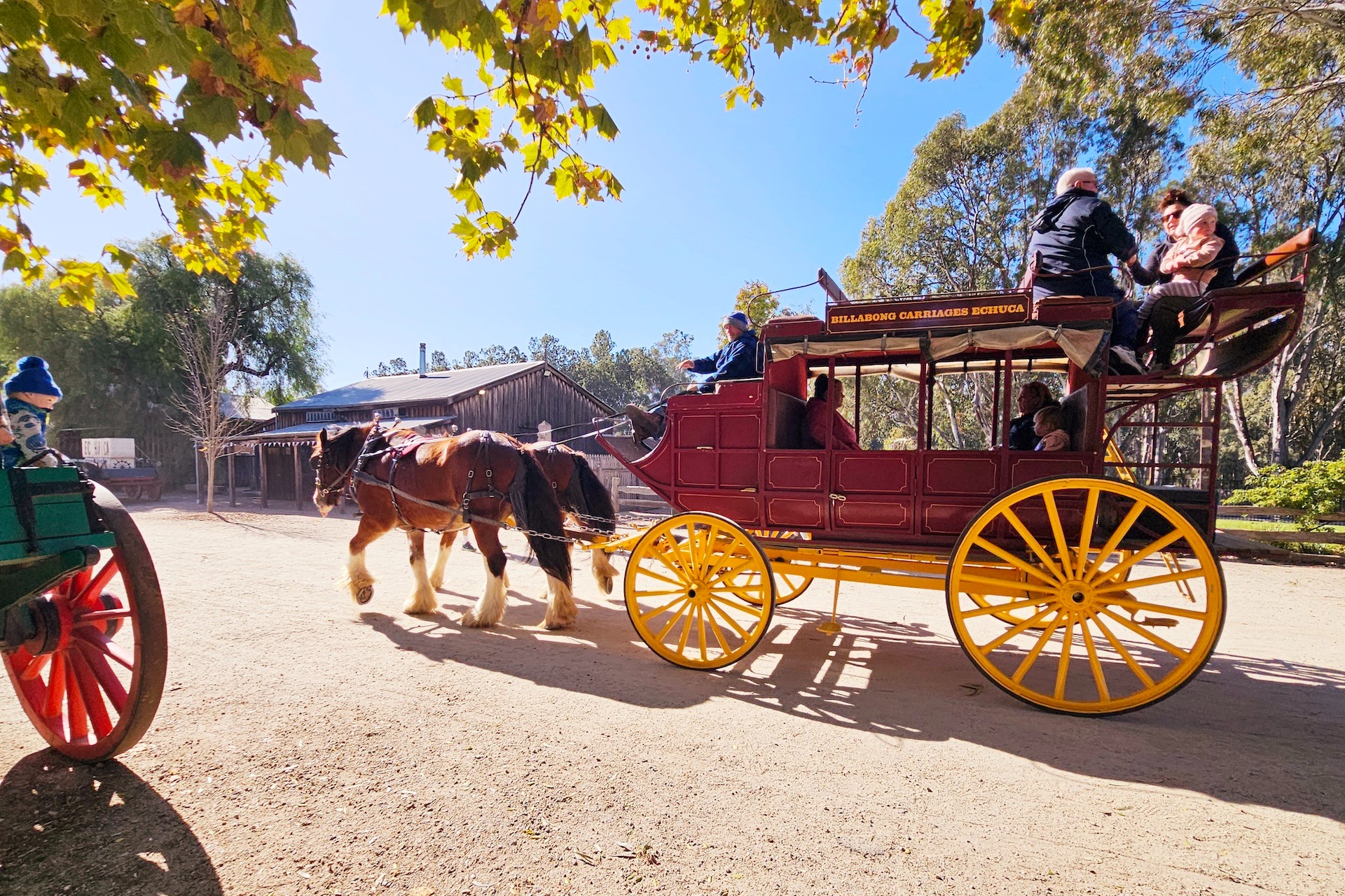 Murray River Paddlesteamers and Wine Tour