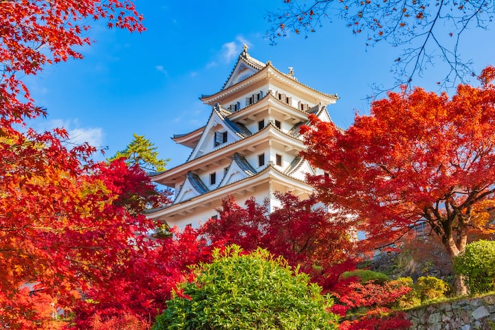 日本名古屋｜名古屋市區/飛彈高山/白川鄉/下呂溫泉客製化包車一日遊