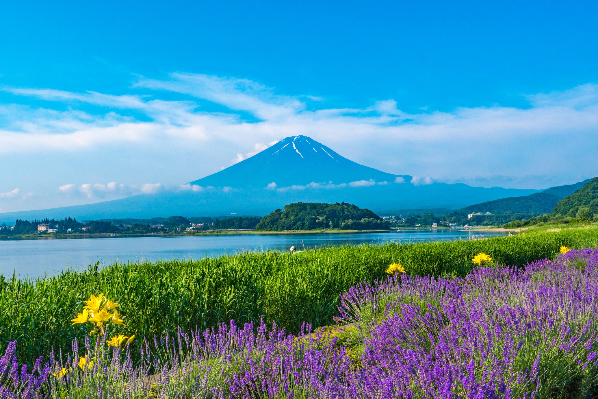 大石公園 & 富士山 & 時令水果採摘一日遊（東京出發）
