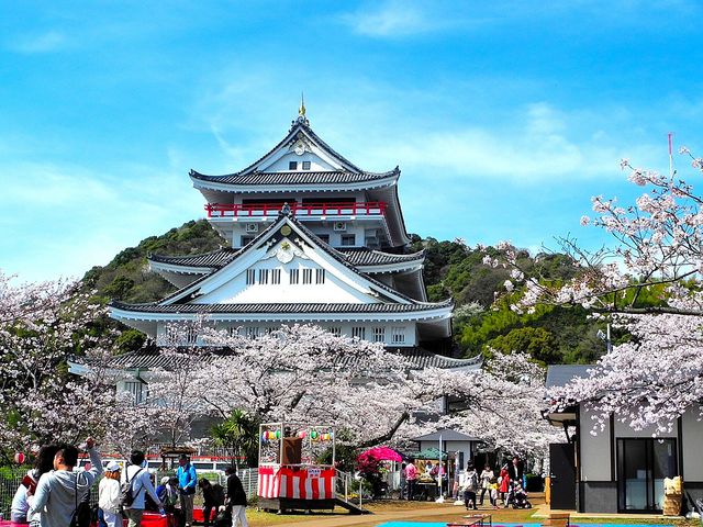東京出發｜伊豆／熱海 客製化包車一日遊