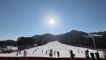 Jisan Forest Resort Ski x Snowsled Day Tour