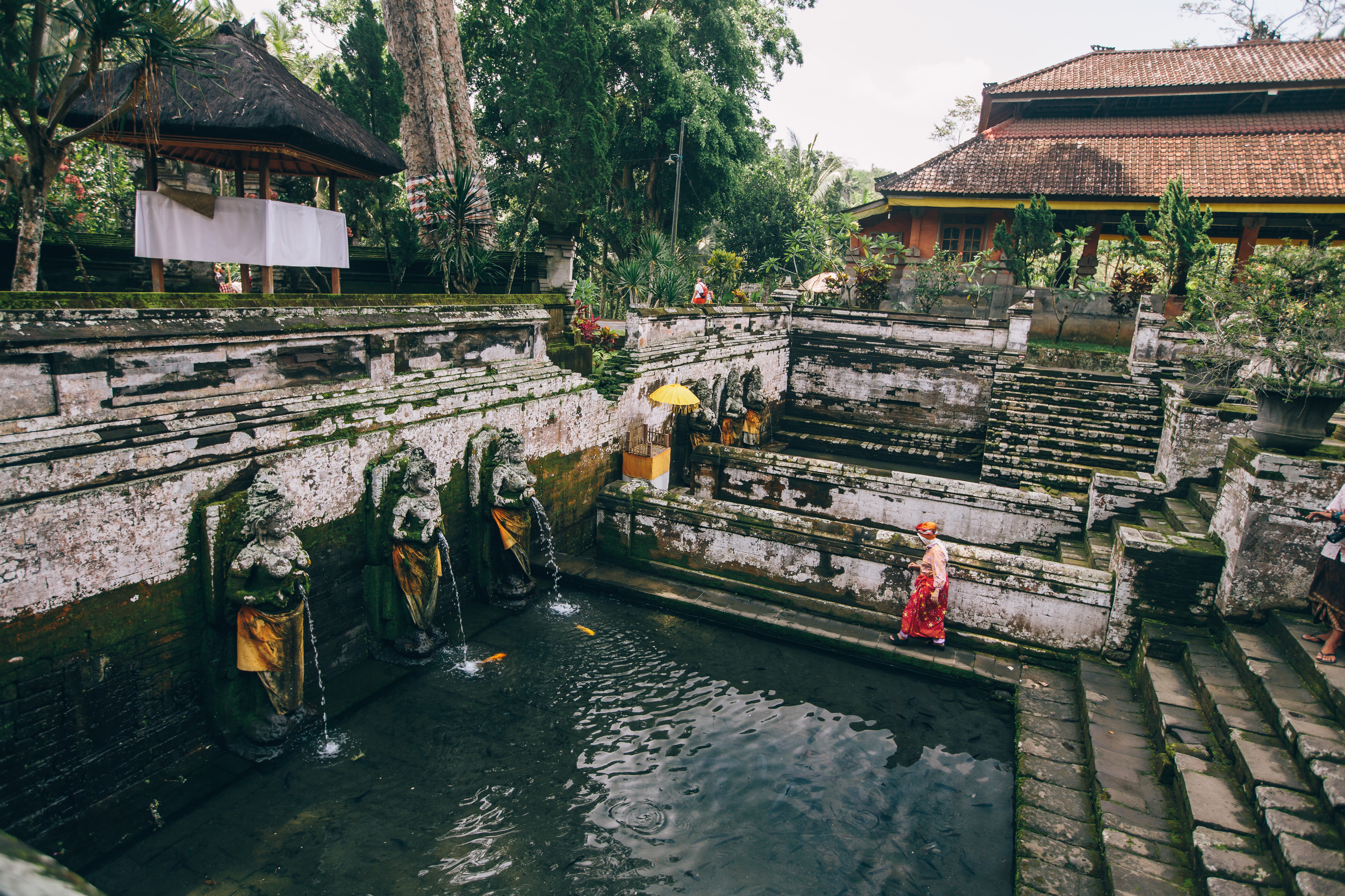 Pure Ubud Tour
