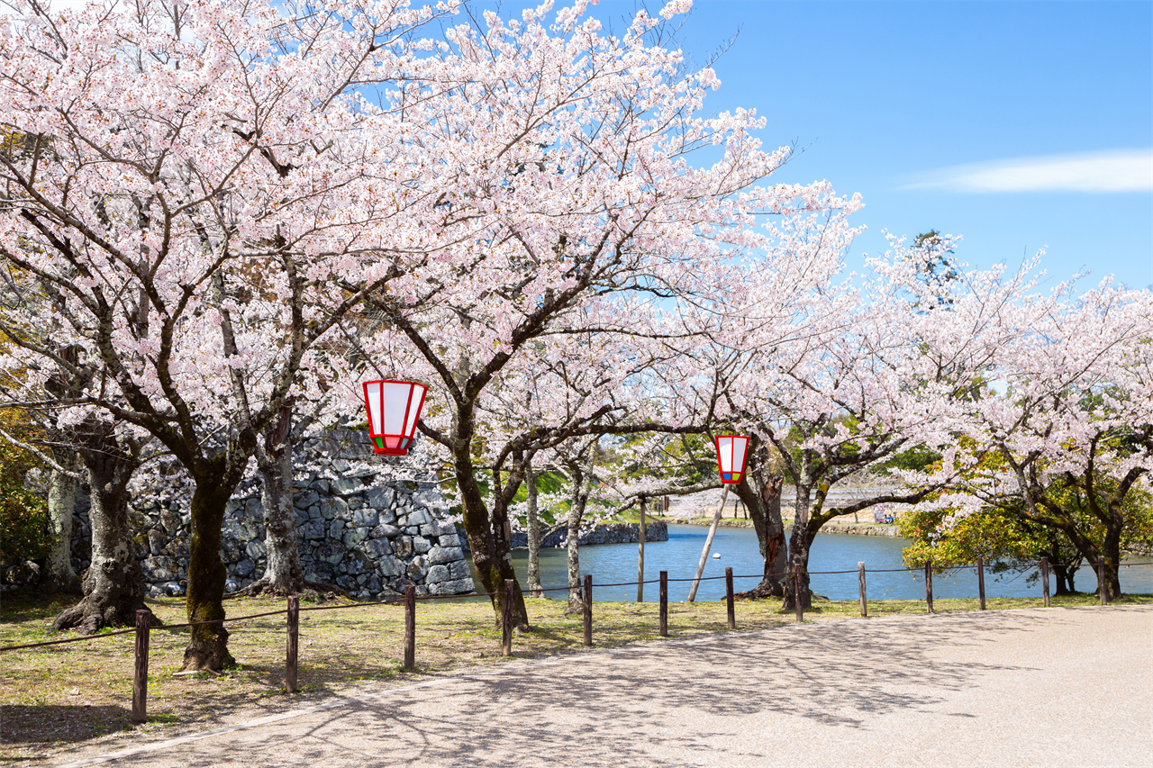 Lake Biwa Observatory, Shirahige Shrine, and Mangetsu-ji Temple Floating Temple Day Trip