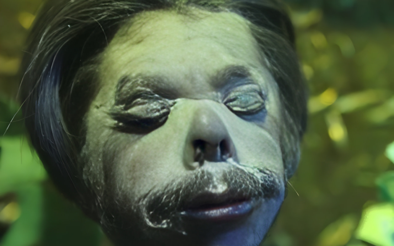 近距離探索詭異的縮小人頭和稀有的自然奇觀。
近距離探索詭異的縮小人頭和稀有的自然奇觀。