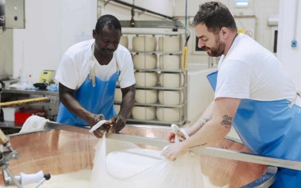 Parmesan cheese factory tour and tasting in Parma