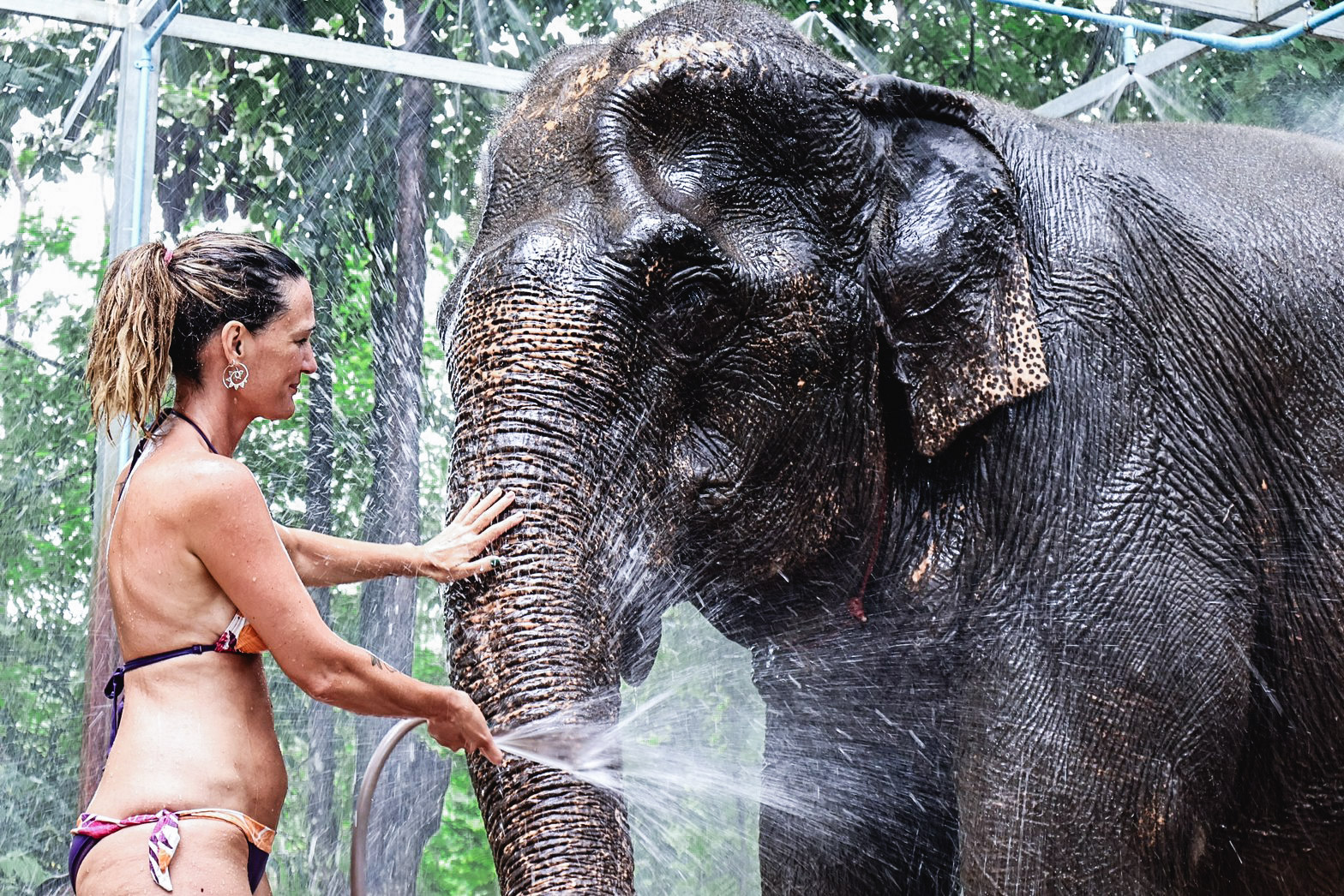 甲米大象保護區（Krabi Elephant Shelter）體驗