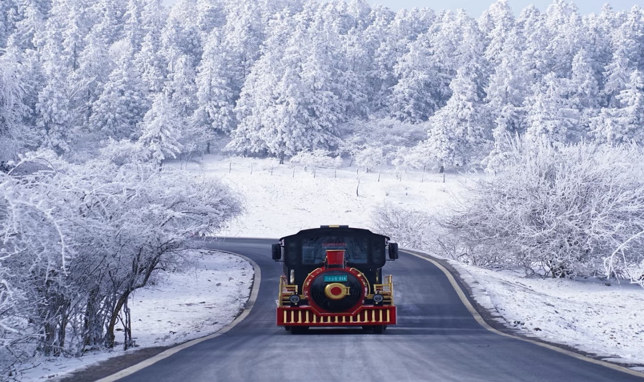 Chongqing Wulong Tiansheng Three Bridges Day Tour with Small Group