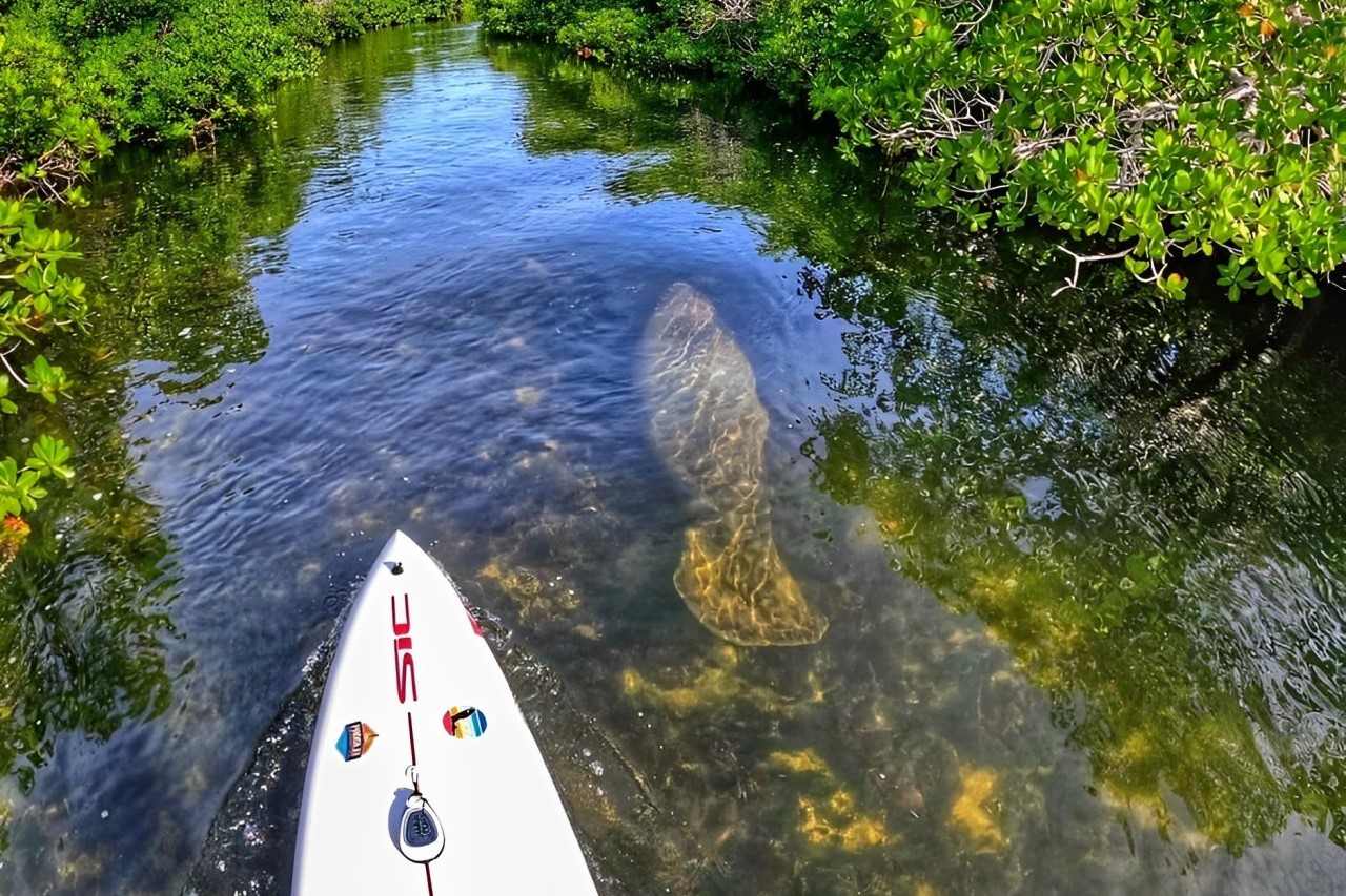 Florida Keys Marine Eco Adventure