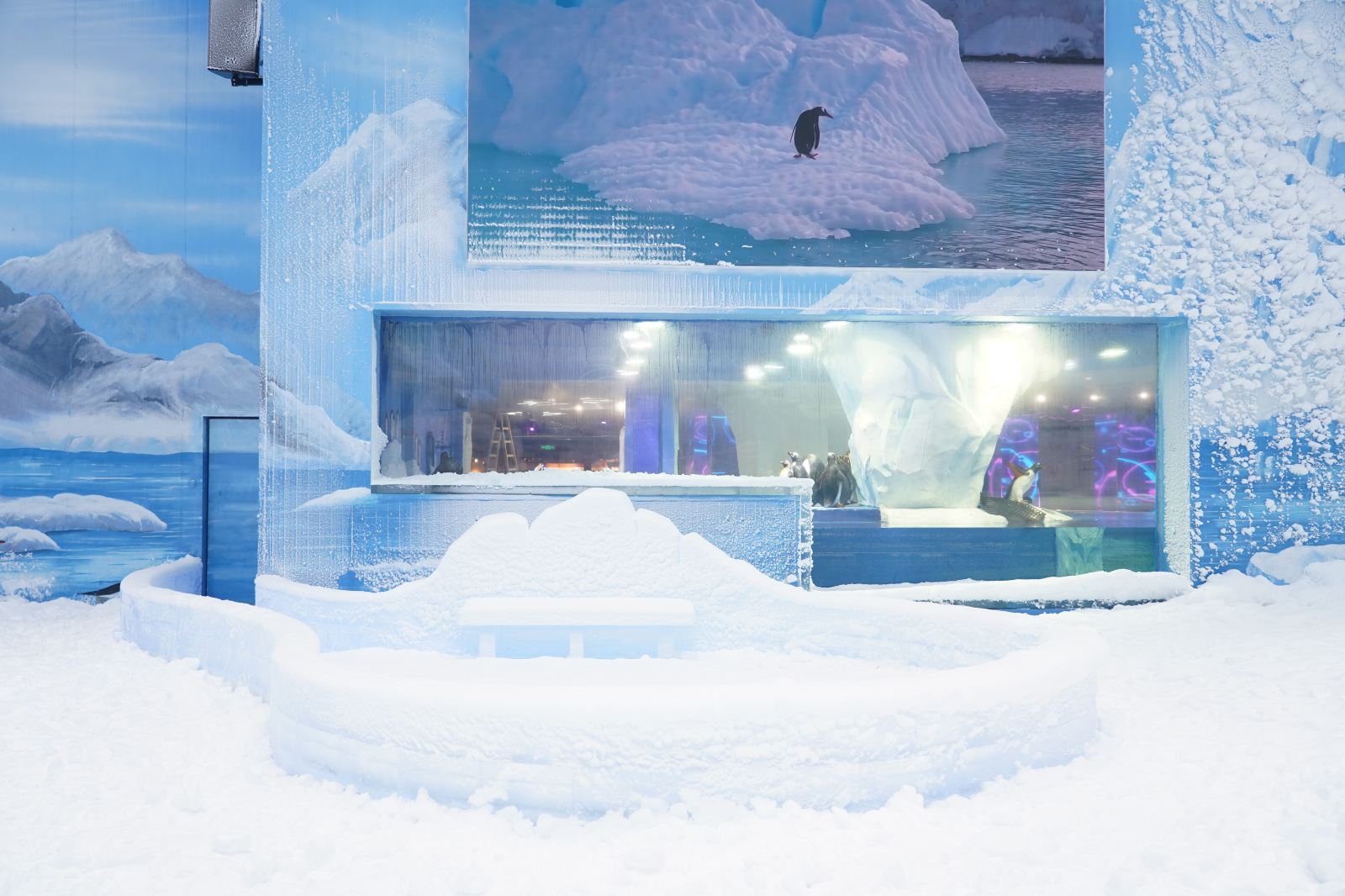 Grandview Penguin Ice and Snow World