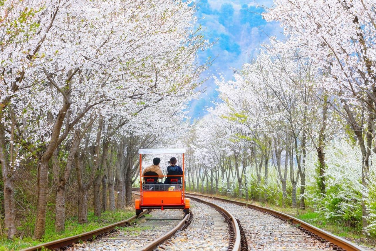 Nami Island Private Tour with Optional Add-ons from Seoul