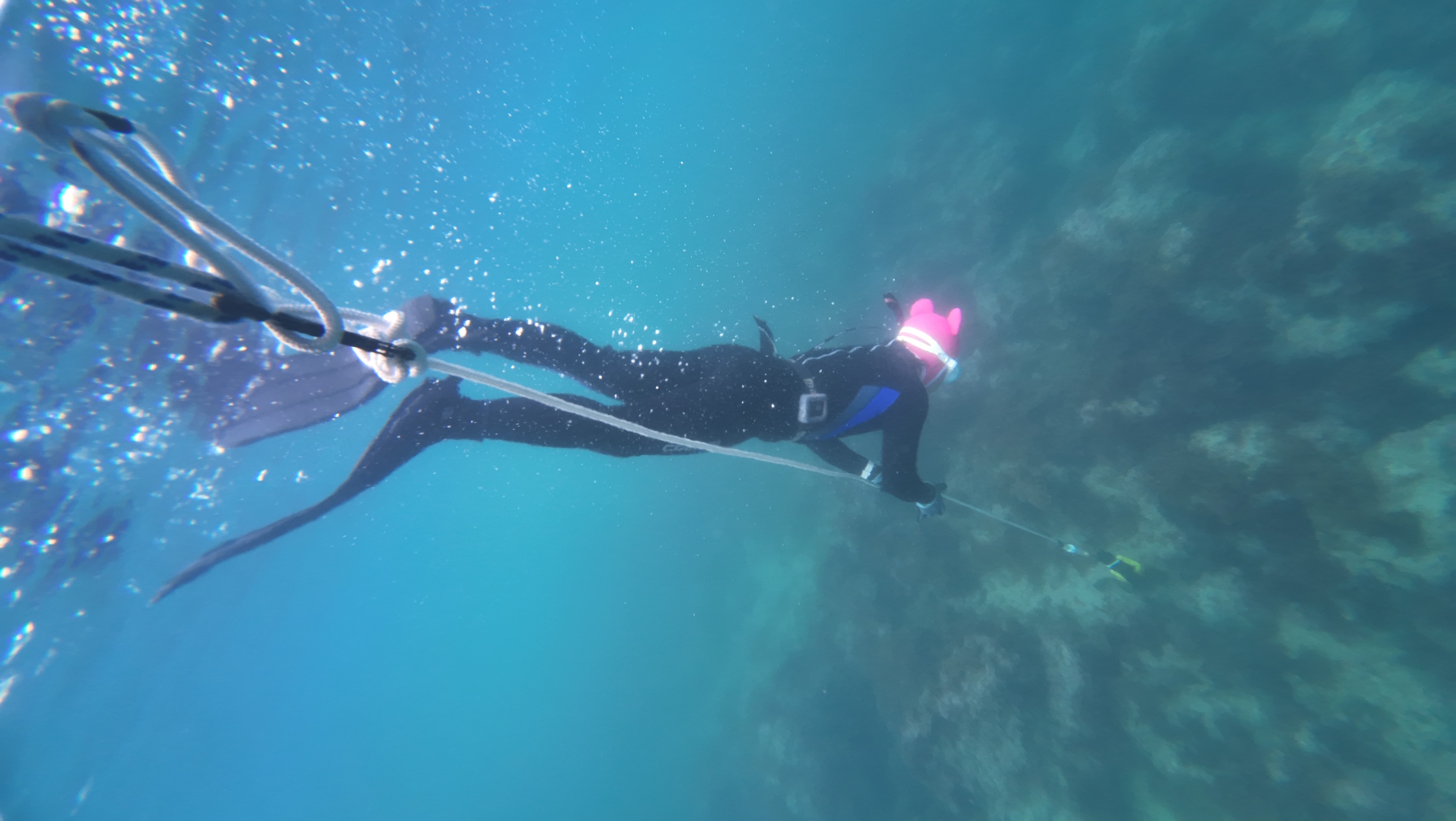 Jeju Free Diving Experience