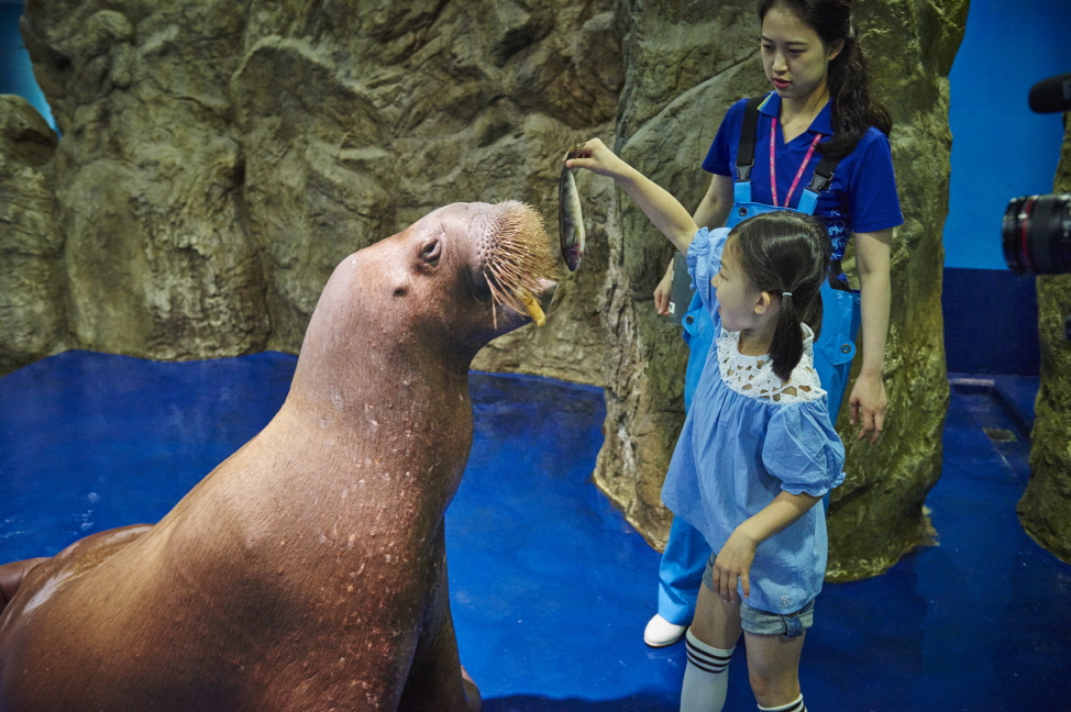 一山韓華 Aqua Planet 水族館門票