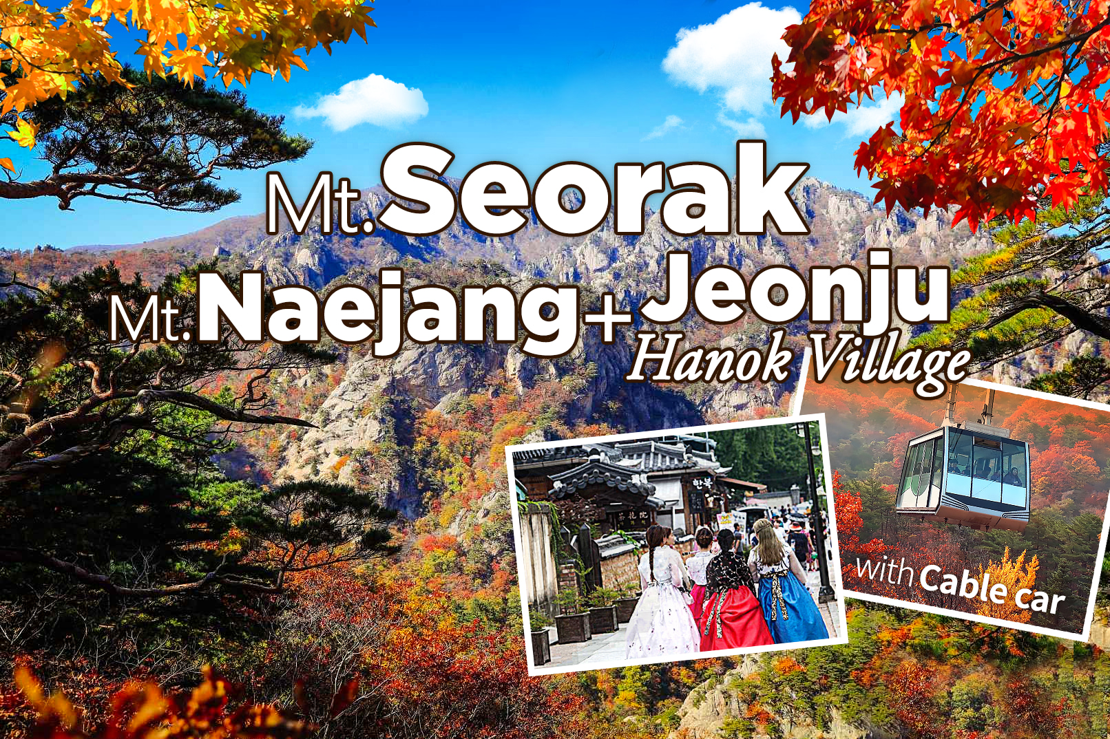 Naejangsan National Park & Jeonju Hanok Village One Day Tour from Seoul