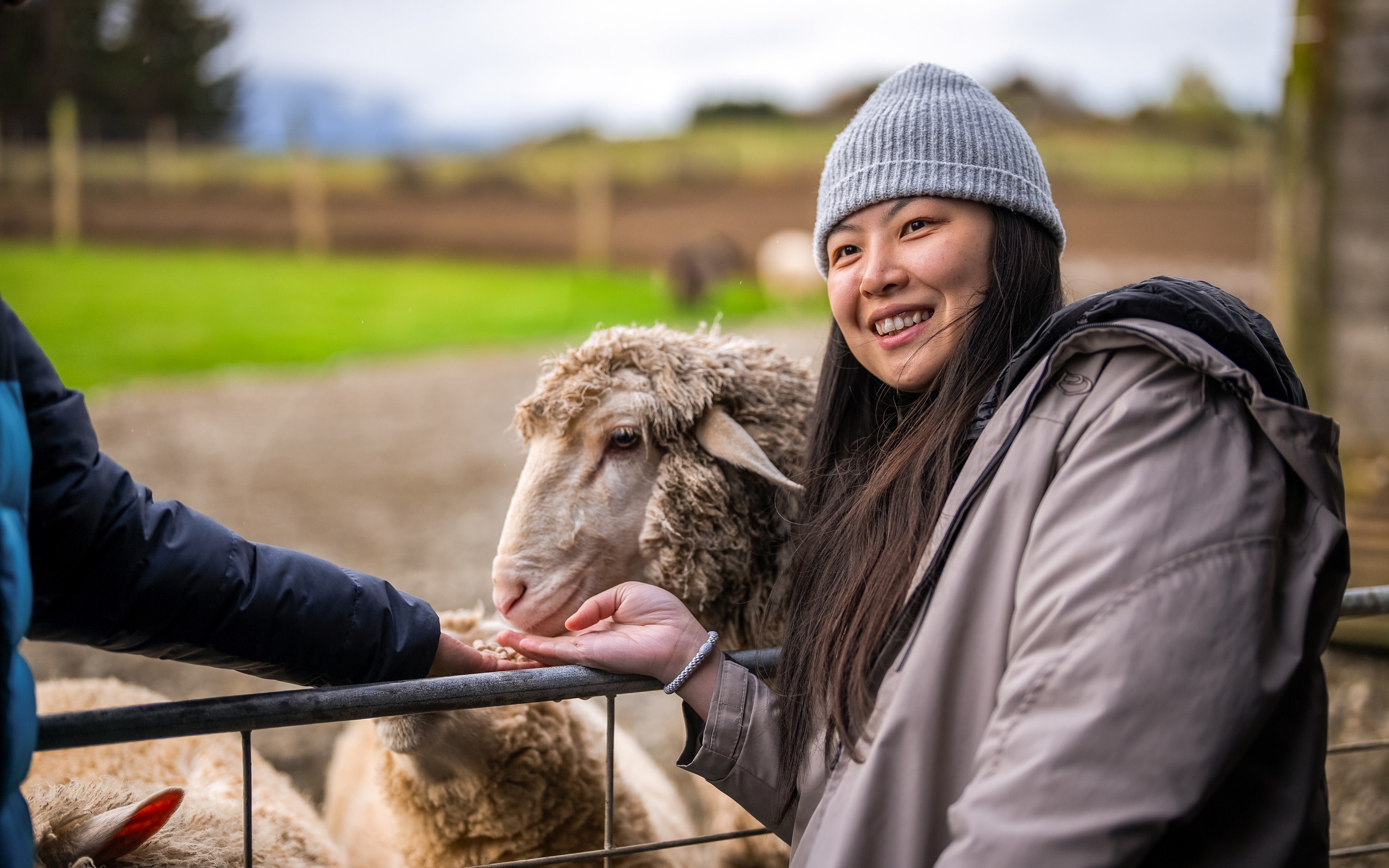 Milford Sound Coach and Cruise from Te Anau with Farm Tour