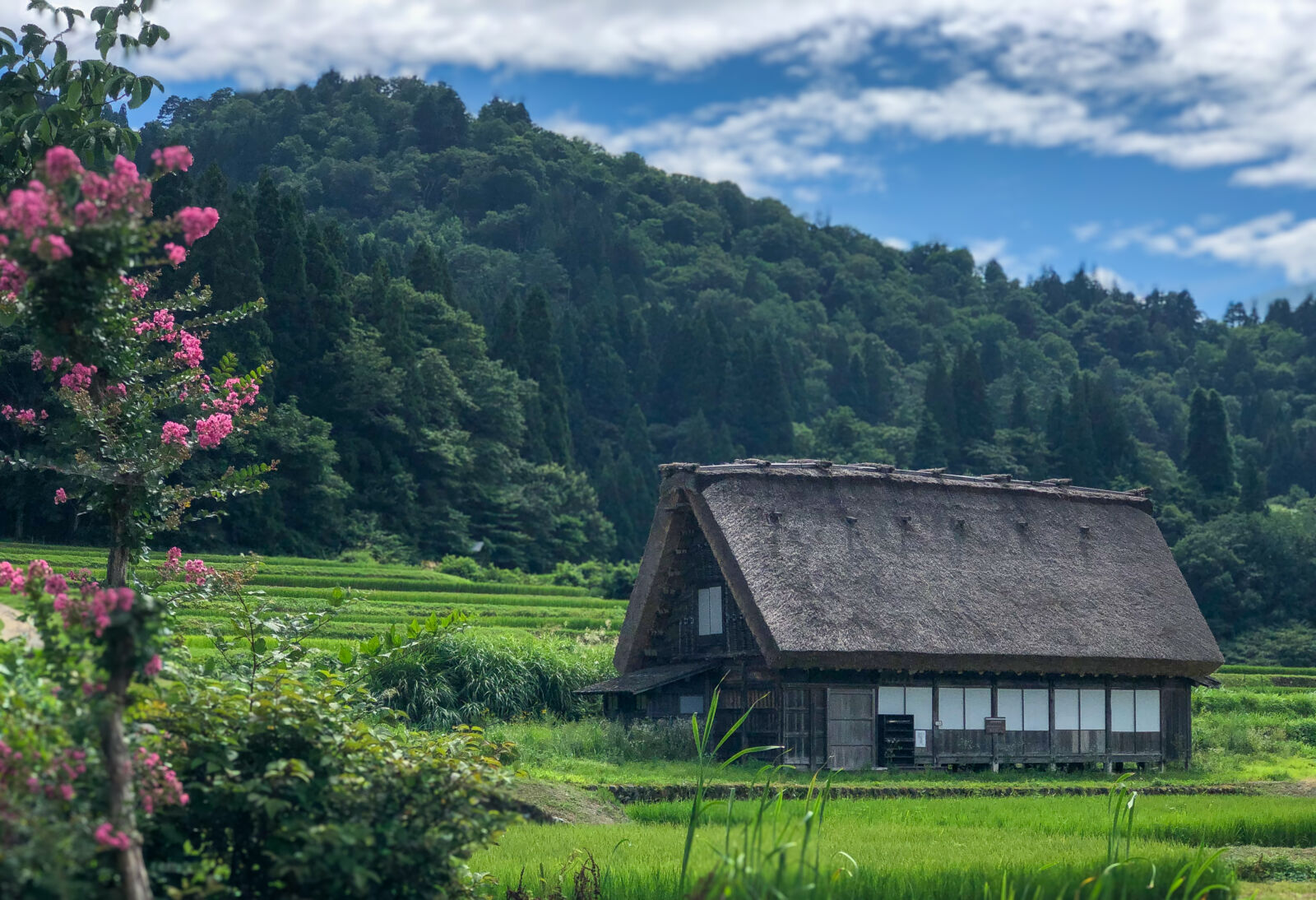 From Nagoya: Hida Takayama and World Heritage Site Shirakawa-go