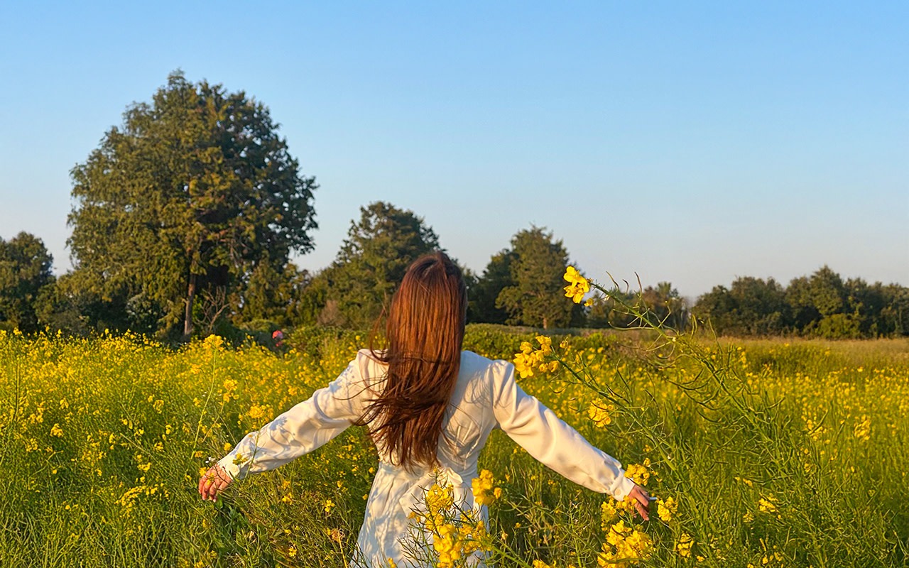 (Hotel PickUp) Canola Flower Spring Tour With UNESCO Spot