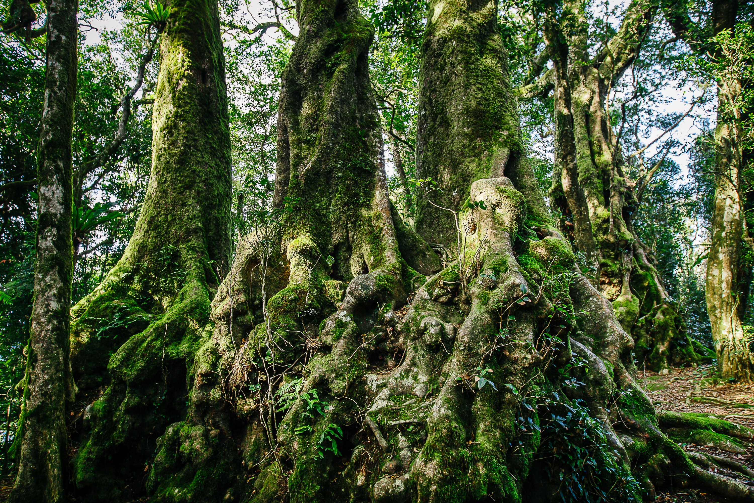 參加此行程,讓您遠離繁囂的黃金海岸,享受寧靜的時光 參加此行程,讓您遠離繁囂的黃金海岸,享受寧靜的時光